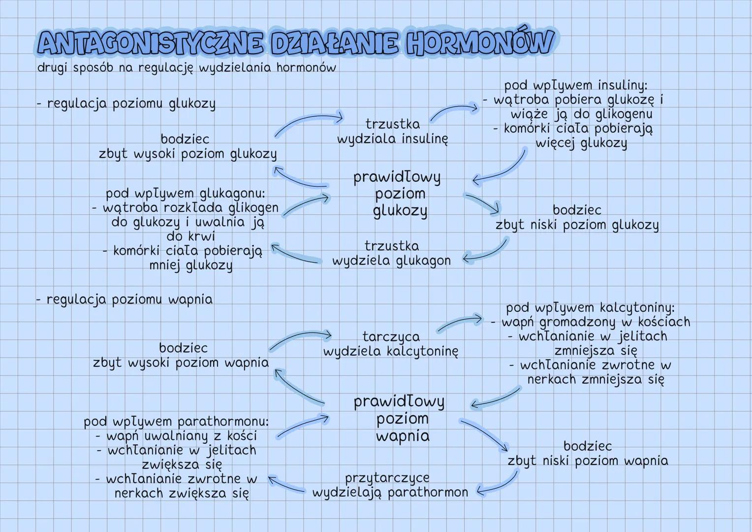 --- OCR Start ---
UKŁAD HORMONALNY
UKŁAD HORMONALNY
↓
reguluje czynności życiowe
gruczoły
dokrewne
↘
komórki
wydzielnicze
wydzielają hormony