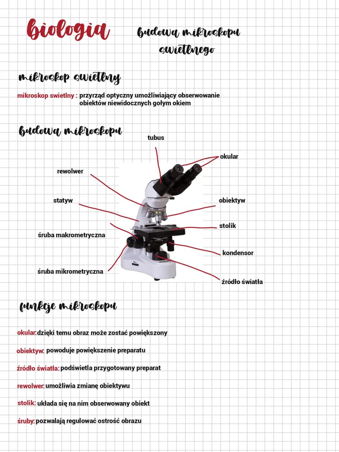 biologia
budowa mikroskopu
swietlnego
mikroskop swietlny
mikroskop swietlny: przyrząd optyczny umożliwiający obserwowanie
objektów niewidocz
