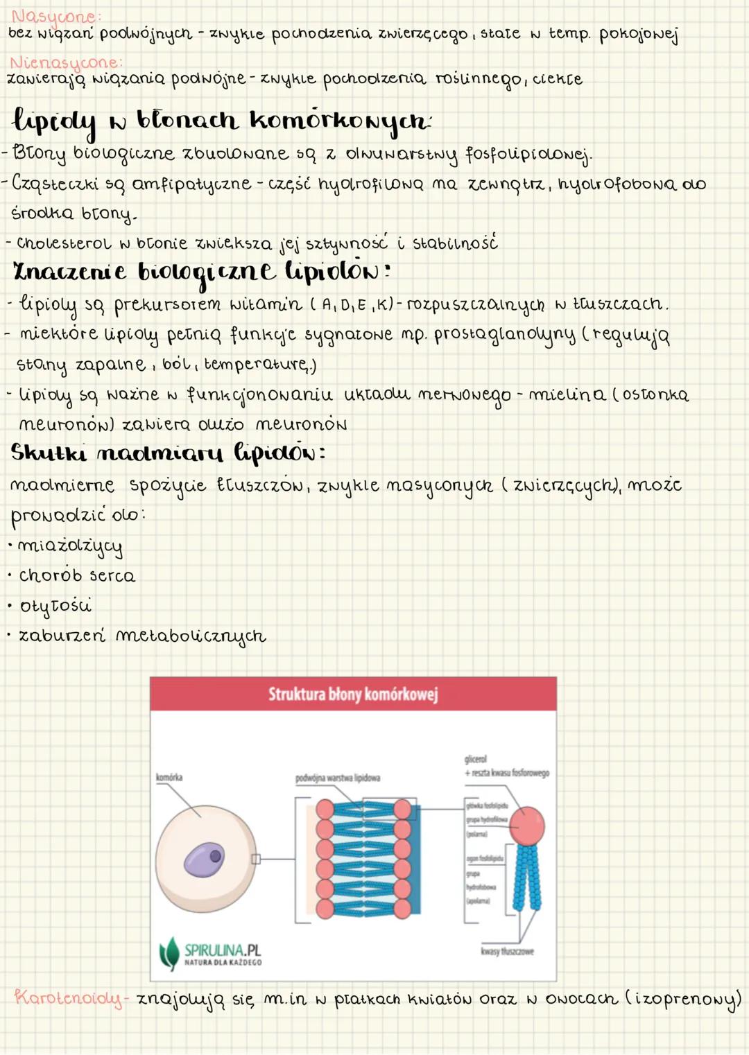 Budowa lepedow.
Budowa e funkge lipidón
lipidy to związki organiczne zbudowane głównie z węgla (C), nodoru (H) i
Elenu (0), a niekiedy także