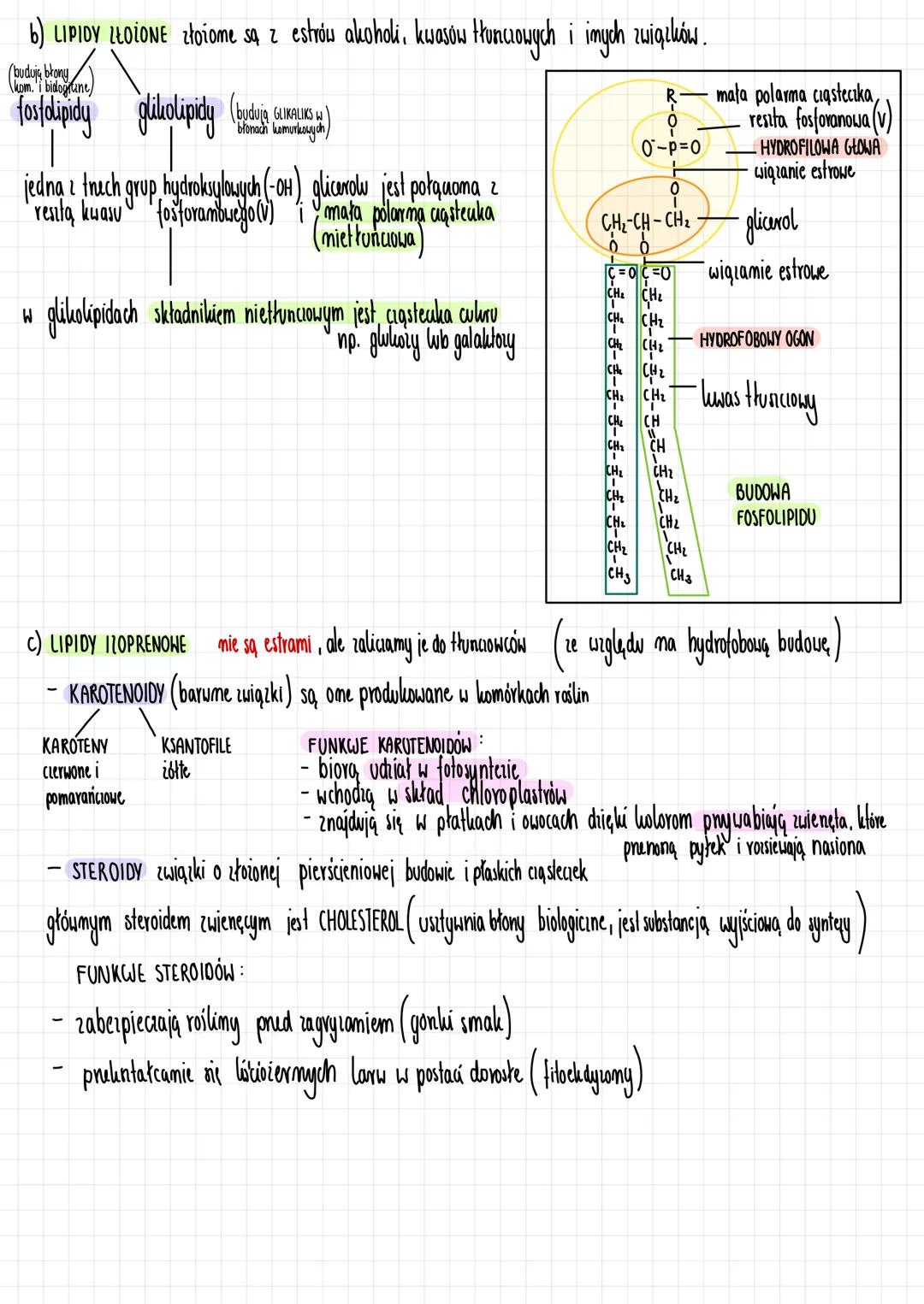 BUDOWA I FUNKCJE LIPIDÓW
tylko w rorpunualnikach niepolarnych
CIPIDY (tłuszczowce) to mierorpuncialne w wodzie ciqului organiciune. Składaj