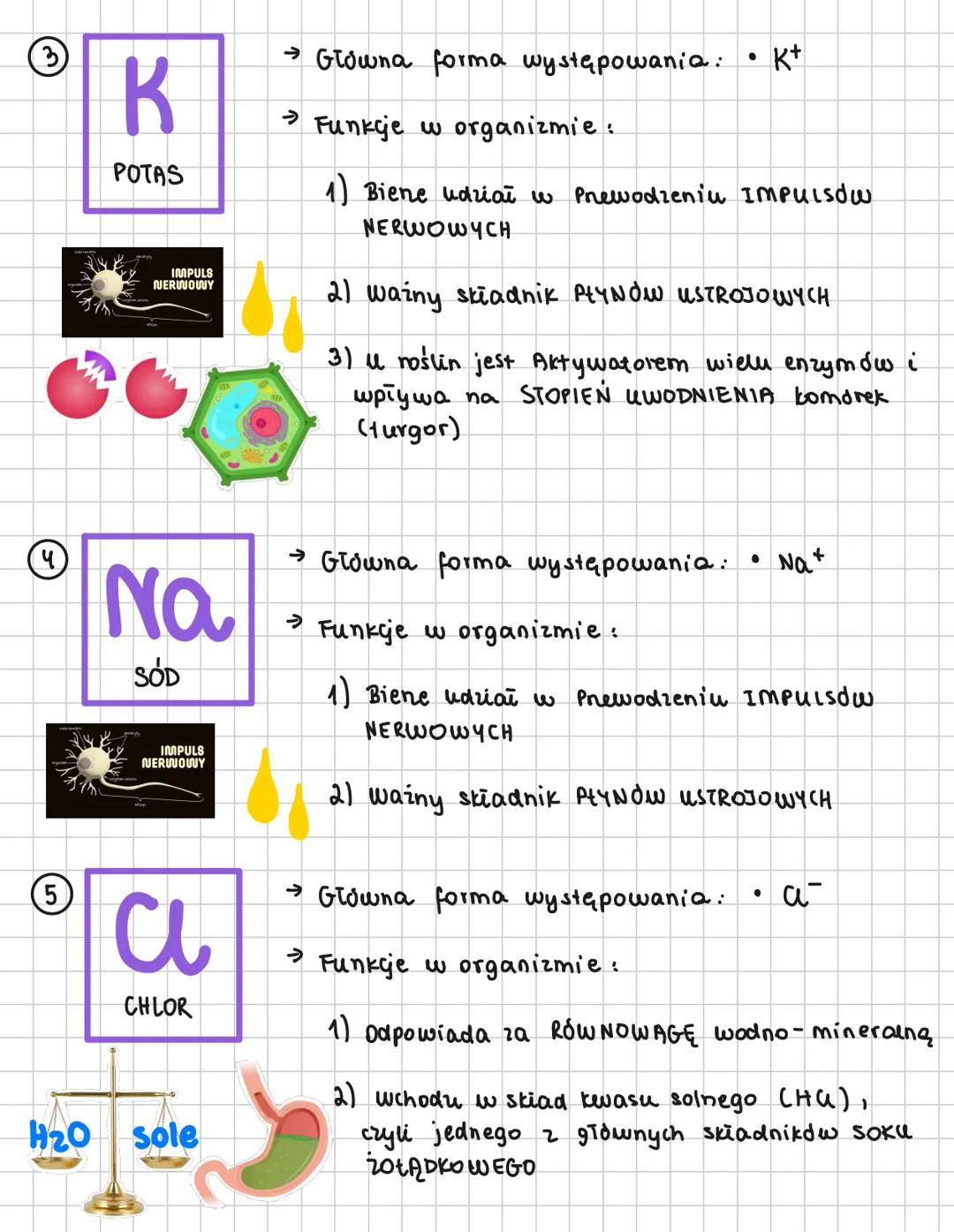 --- OCR Start ---
Skład chemiczny
Organizmów
WSTĘP
→ Organizmy są zbudowane z pierwiastkdw chemicznych,
kórych atomy twong JONY Wb CZĄSTECZK