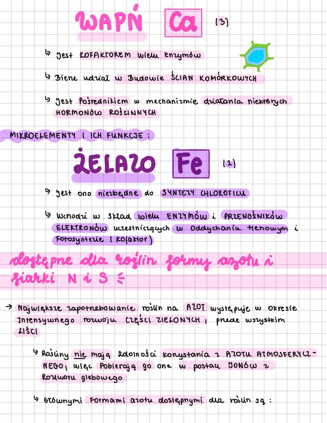--- OCR Start ---
gospodarja
mineralna roślin
WSTĘP
→ W skład organizmu roślinnego wchodzi ponad 50 PIERWIASTKÓW
CHEMICZNYCH
↳ Głównym źrsdt