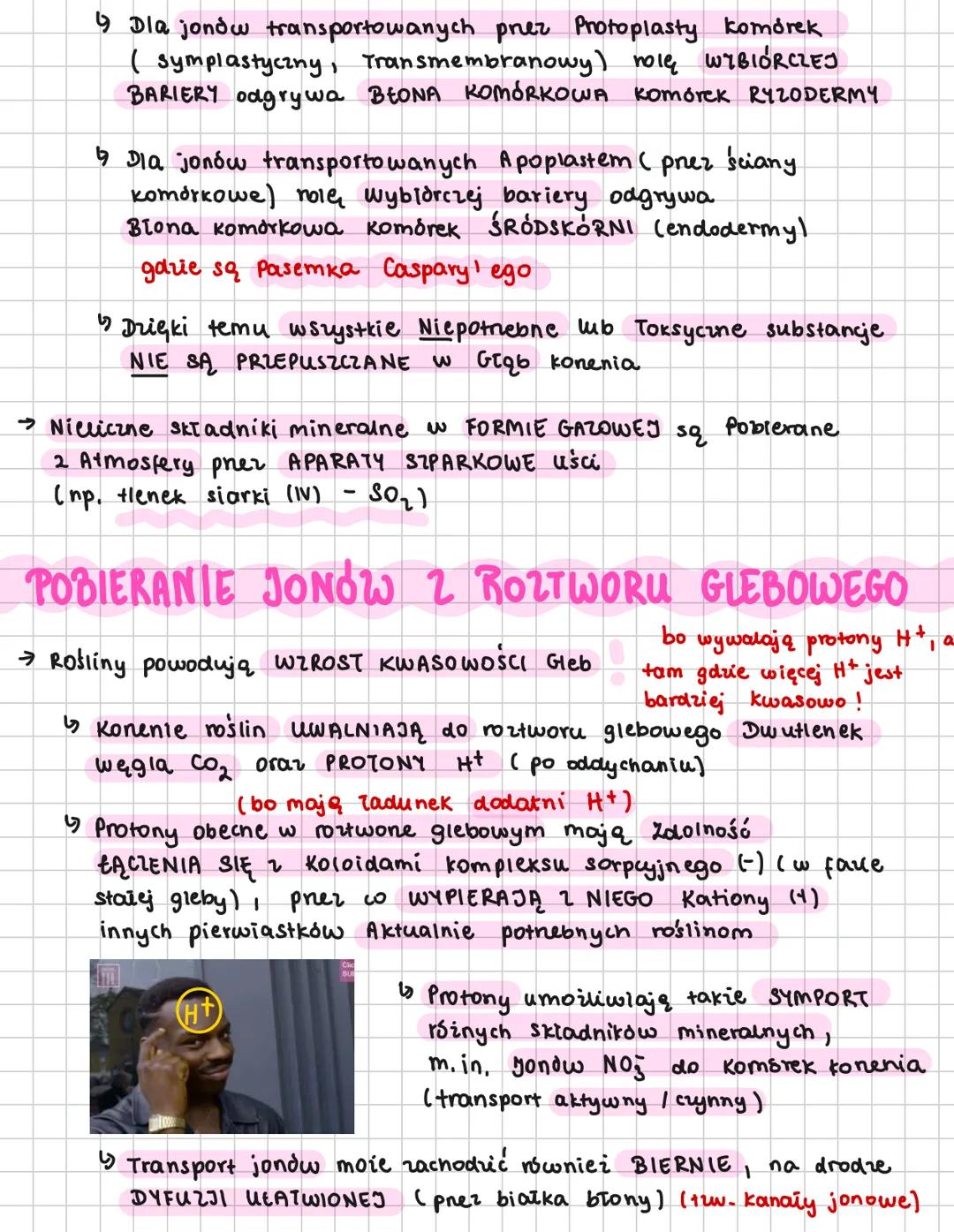 --- OCR Start ---
gospodarja
mineralna roślin
WSTĘP
→ W skład organizmu roślinnego wchodzi ponad 50 PIERWIASTKÓW
CHEMICZNYCH
↳ Głównym źrsdt
