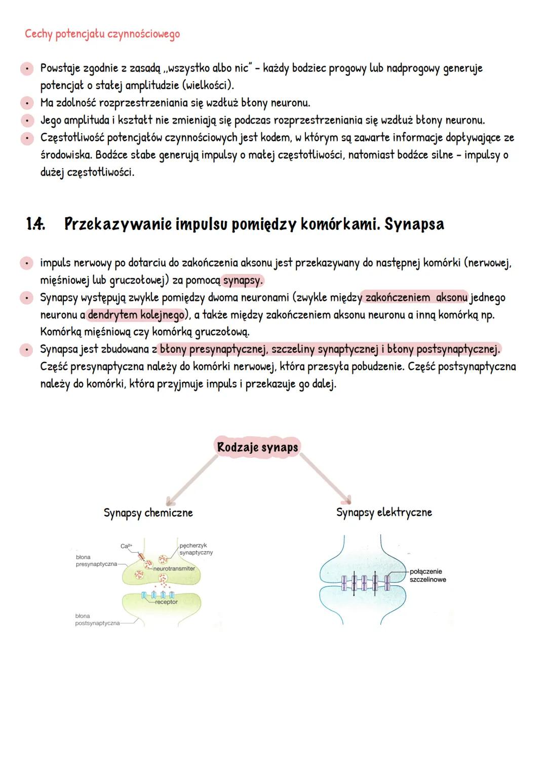 UKŁAD NERWONY
~Budowa i funkcje układu nerwowego~
1.1. Funkcje układu nerwowego
odbiór i analiza bodźców pochodzących ze środowiska zewnętrz