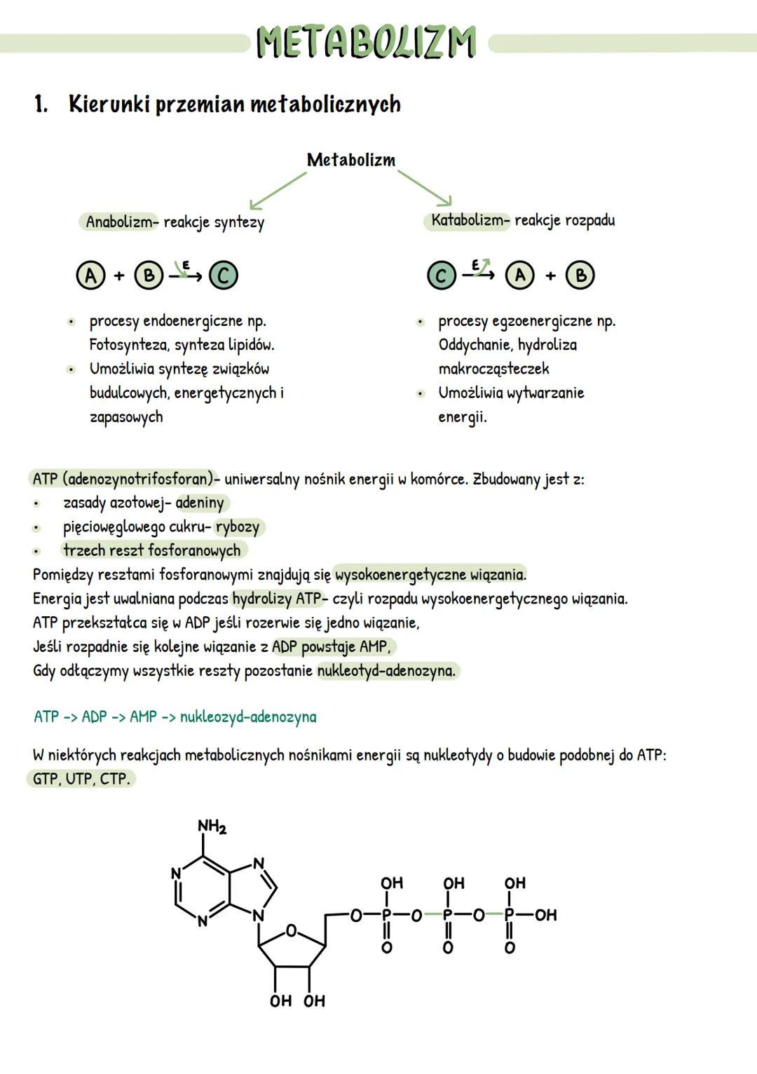 --- OCR Start ---
METABOLIZM
1. Kierunki przemian metabolicznych
Anabolizm- reakcje syntezy
A+
E
B
procesy endoenergiczne np.
Fotosynteza, s