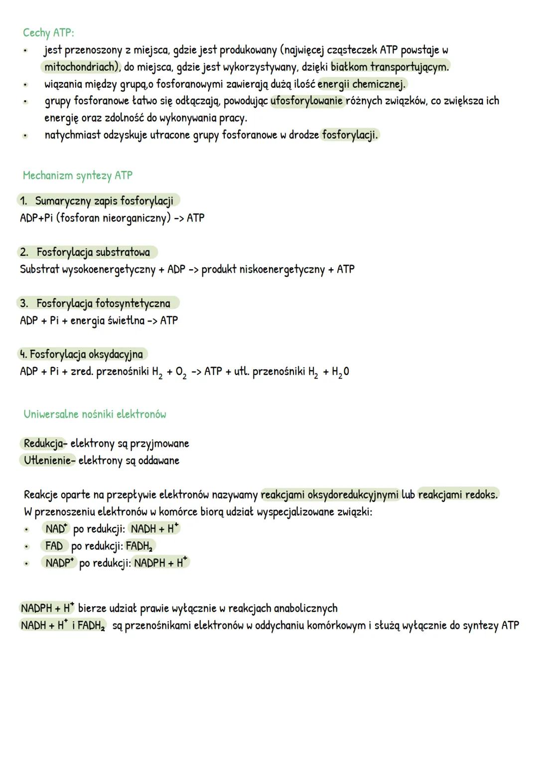 --- OCR Start ---
METABOLIZM
1. Kierunki przemian metabolicznych
Anabolizm- reakcje syntezy
A+
E
B
procesy endoenergiczne np.
Fotosynteza, s