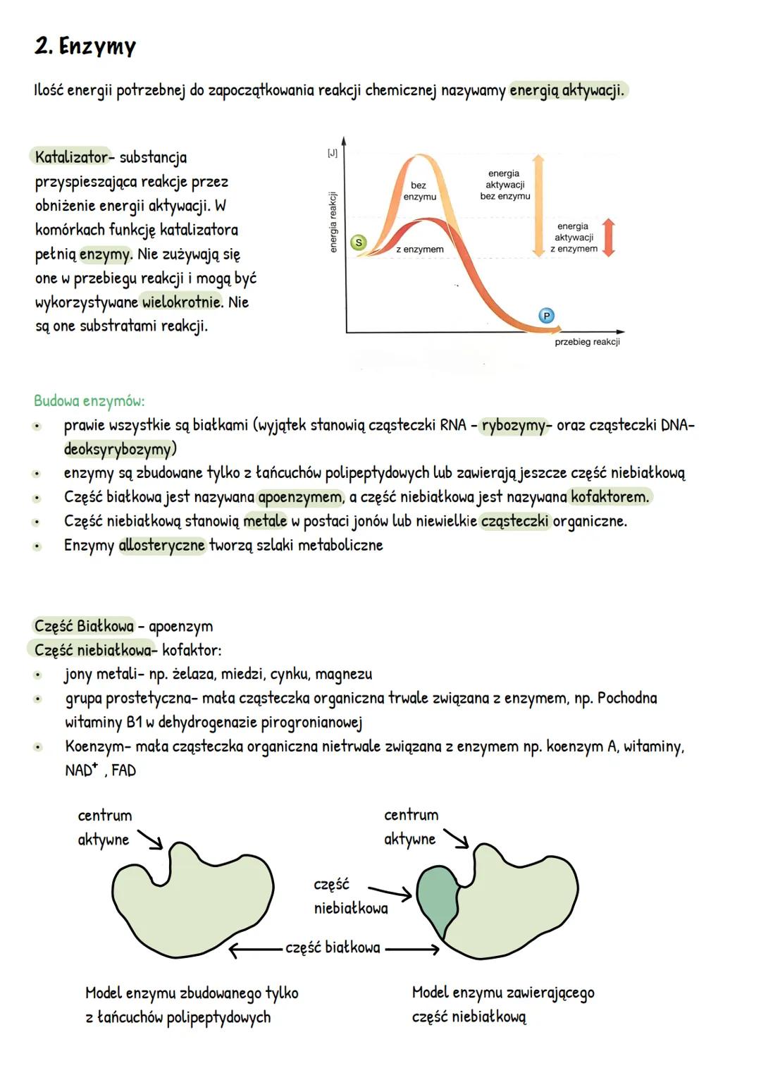 --- OCR Start ---
METABOLIZM
1. Kierunki przemian metabolicznych
Anabolizm- reakcje syntezy
A+
E
B
procesy endoenergiczne np.
Fotosynteza, s