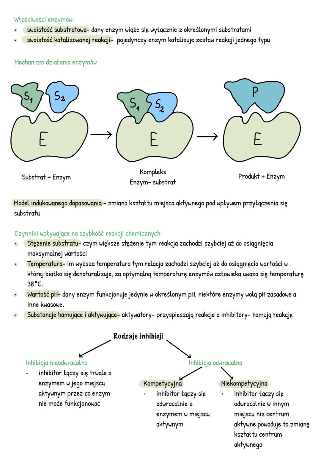 --- OCR Start ---
METABOLIZM
1. Kierunki przemian metabolicznych
Anabolizm- reakcje syntezy
A+
E
B
procesy endoenergiczne np.
Fotosynteza, s