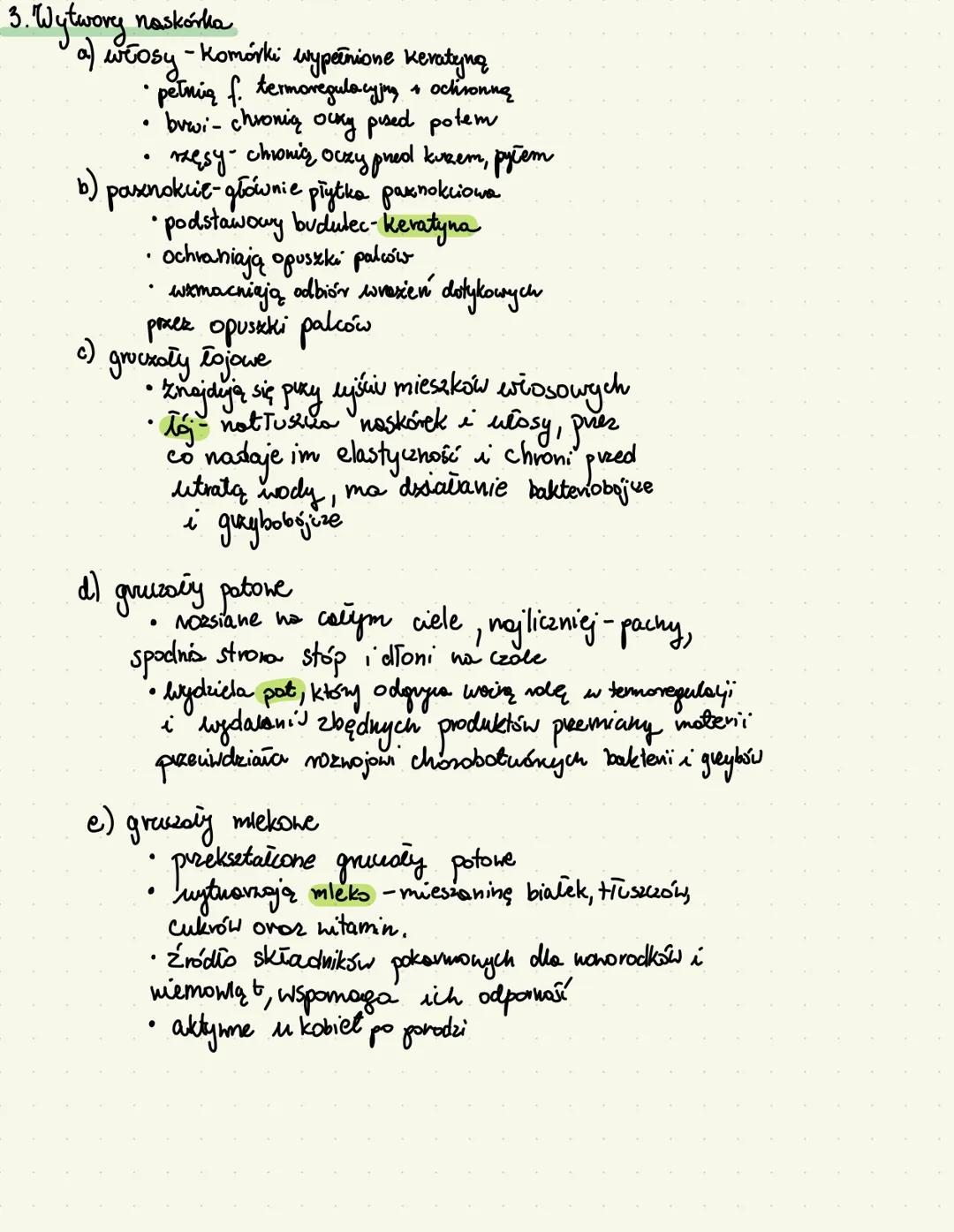 --- OCR Start ---
BUDOWA i funkcje skóry
1. Budowa skóry
a) NASKÓREK - nabłonek wielowarstwowy płaski zrogowaciaty
warstwa zrogowaciała - po