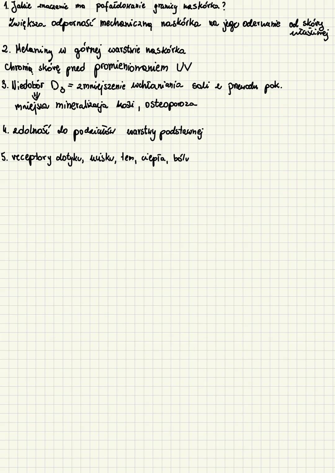 --- OCR Start ---
BUDOWA i funkcje skóry
1. Budowa skóry
a) NASKÓREK - nabłonek wielowarstwowy płaski zrogowaciaty
warstwa zrogowaciała - po