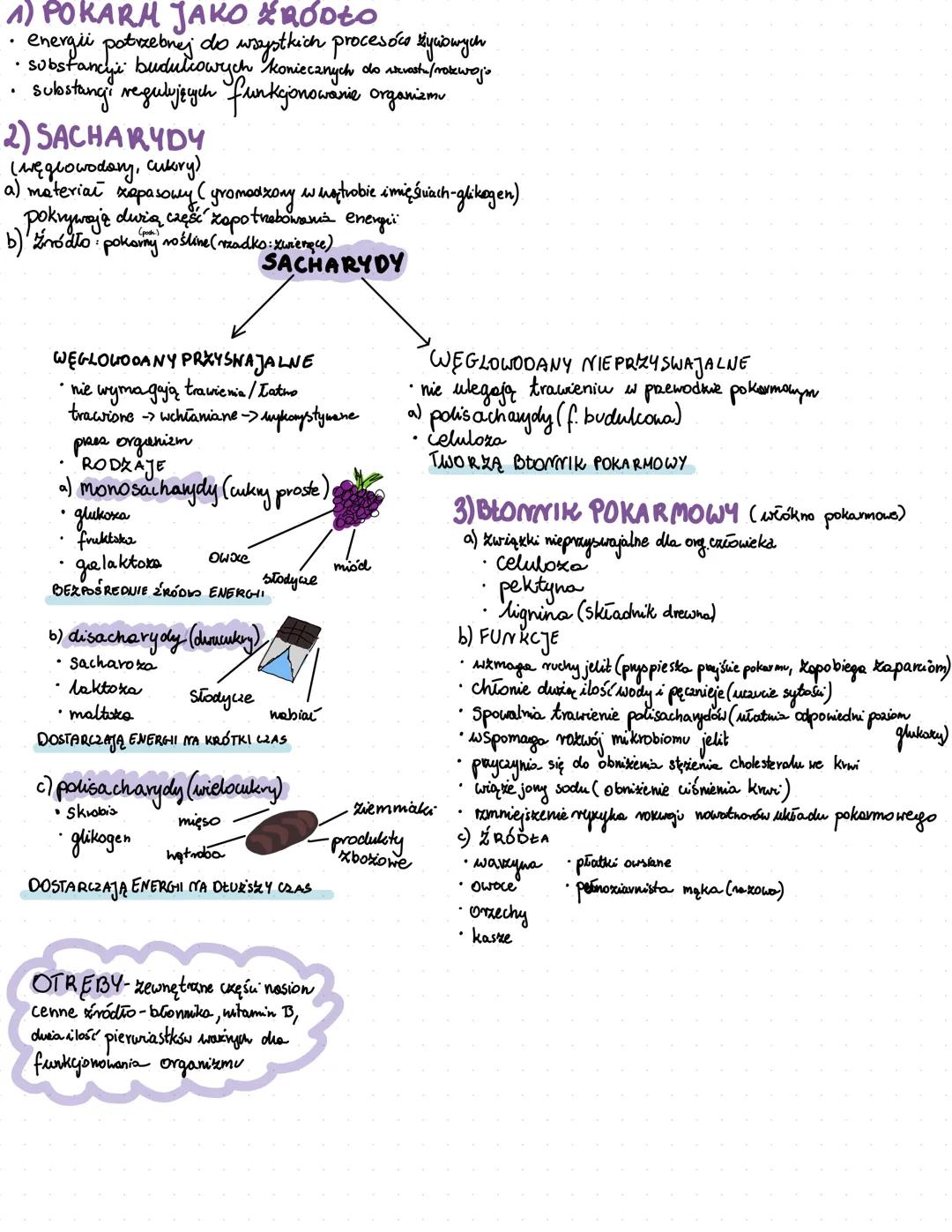 BUDOWA I FUNKCJE
UKŁADU POKARMOWEGO
jama ustna
podniebienie
języczek
język
zębów
ślinianki
podjęzykowa
podżuchwowa
przyuszna
język
przełyk
w