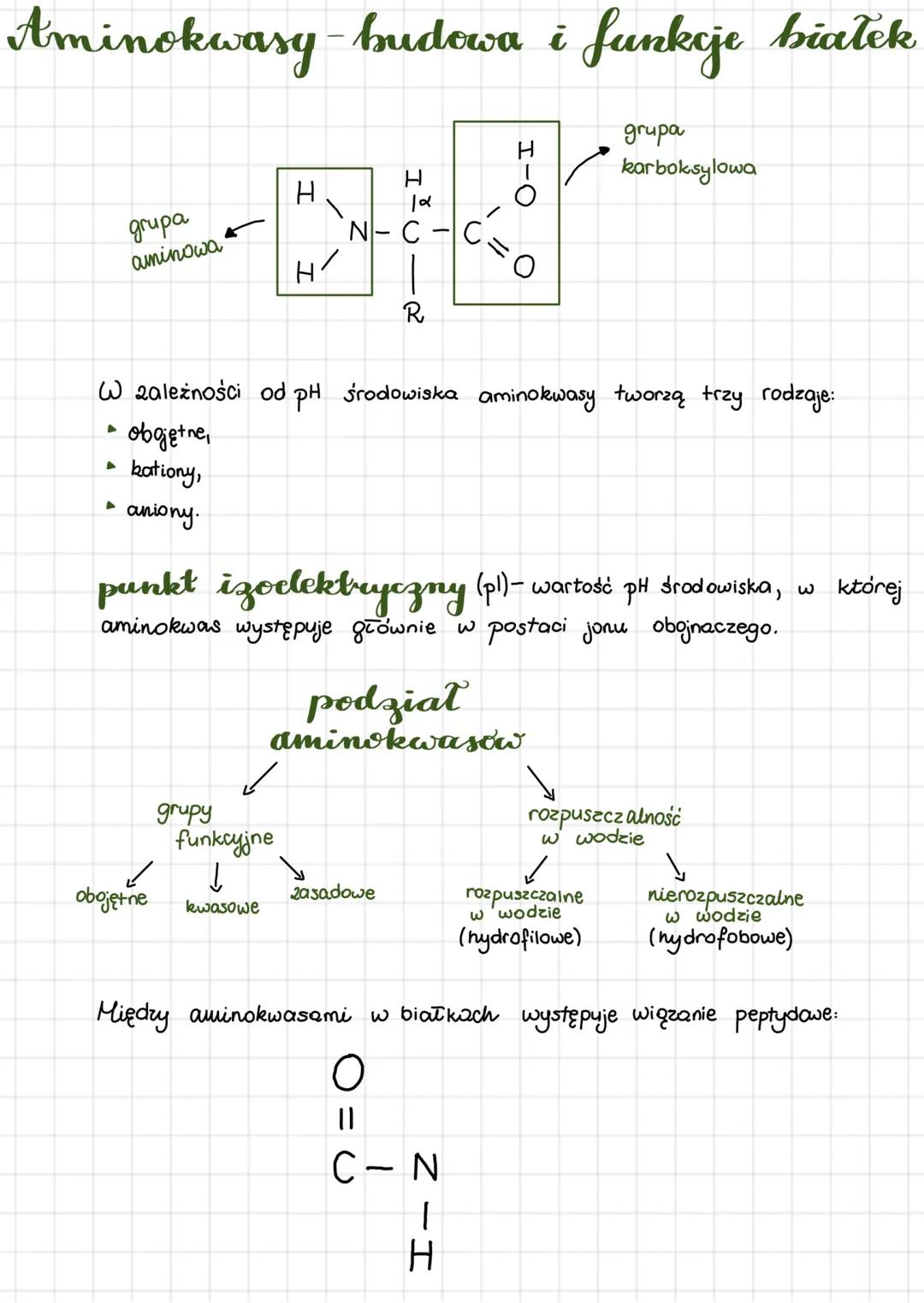Chemiczne postawy
zycia
Skład chemiczny organizmów
Podział pierwiastków:
makroskładniki, makroelementy:
wapń, magnez, potas, sod, chlor, wę