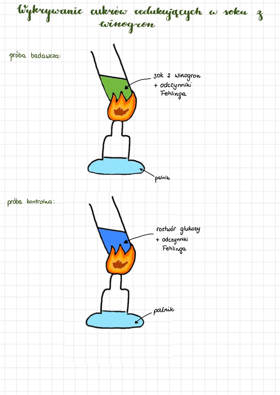 Chemiczne postawy
zycia
Skład chemiczny organizmów
Podział pierwiastków:
makroskładniki, makroelementy:
wapń, magnez, potas, sod, chlor, wę