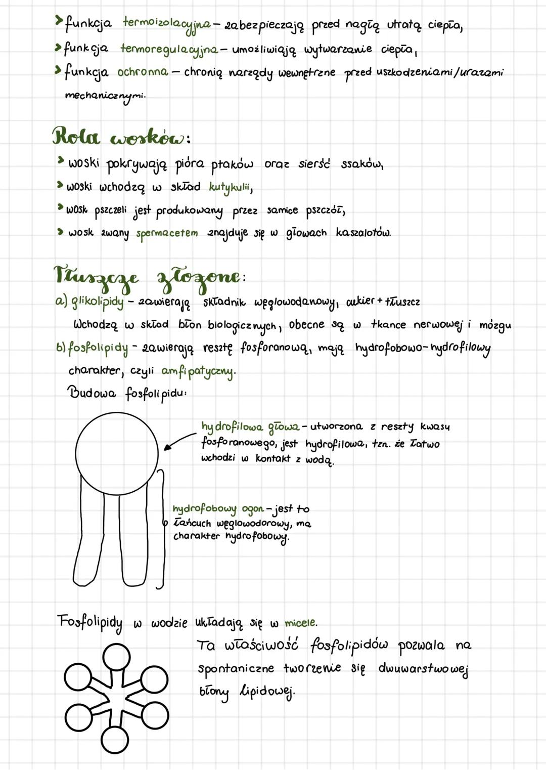 Chemiczne postawy
zycia
Skład chemiczny organizmów
Podział pierwiastków:
makroskładniki, makroelementy:
wapń, magnez, potas, sod, chlor, wę