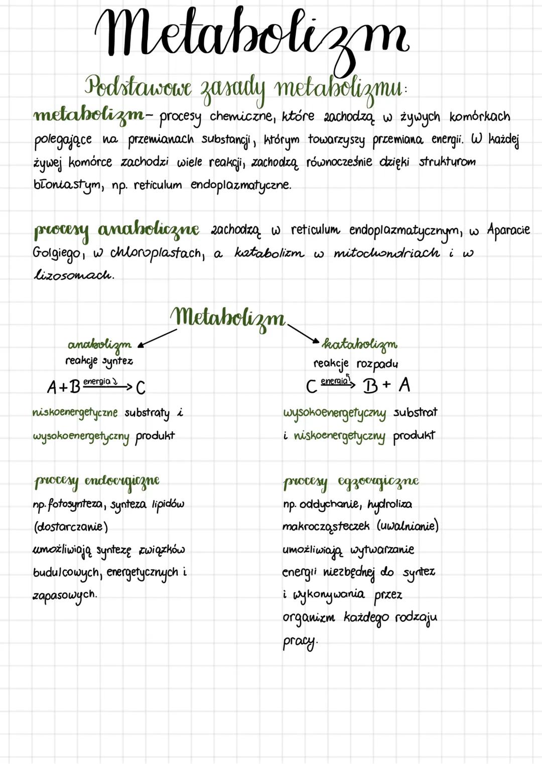 METABOLIZM - cały dział