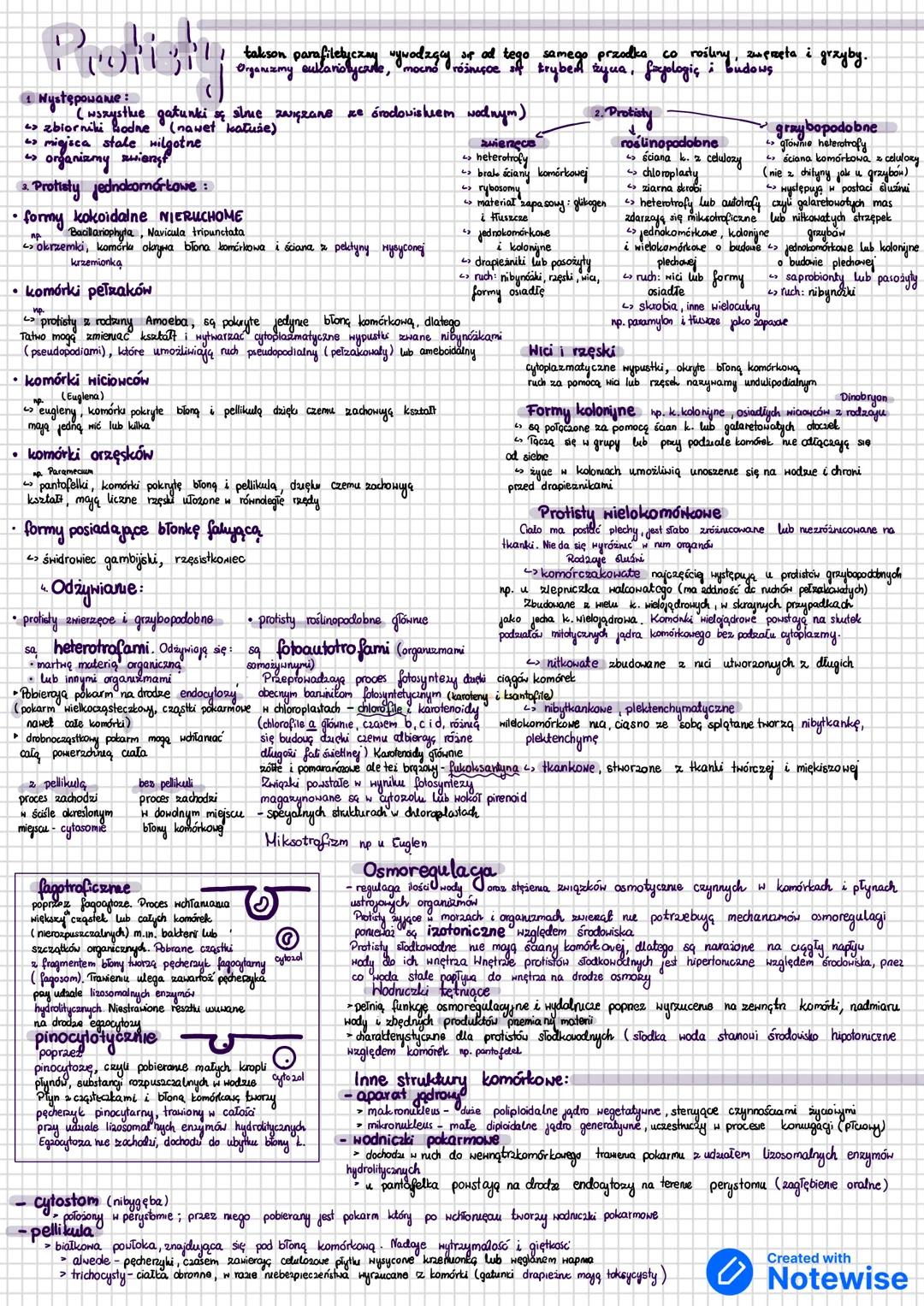 --- OCR Start ---
Protisty
takson parafiletyczny, wywodzący się od tego samego przodka co rośliny, zwierzęta i grzyby.
organizm eukariotyczn