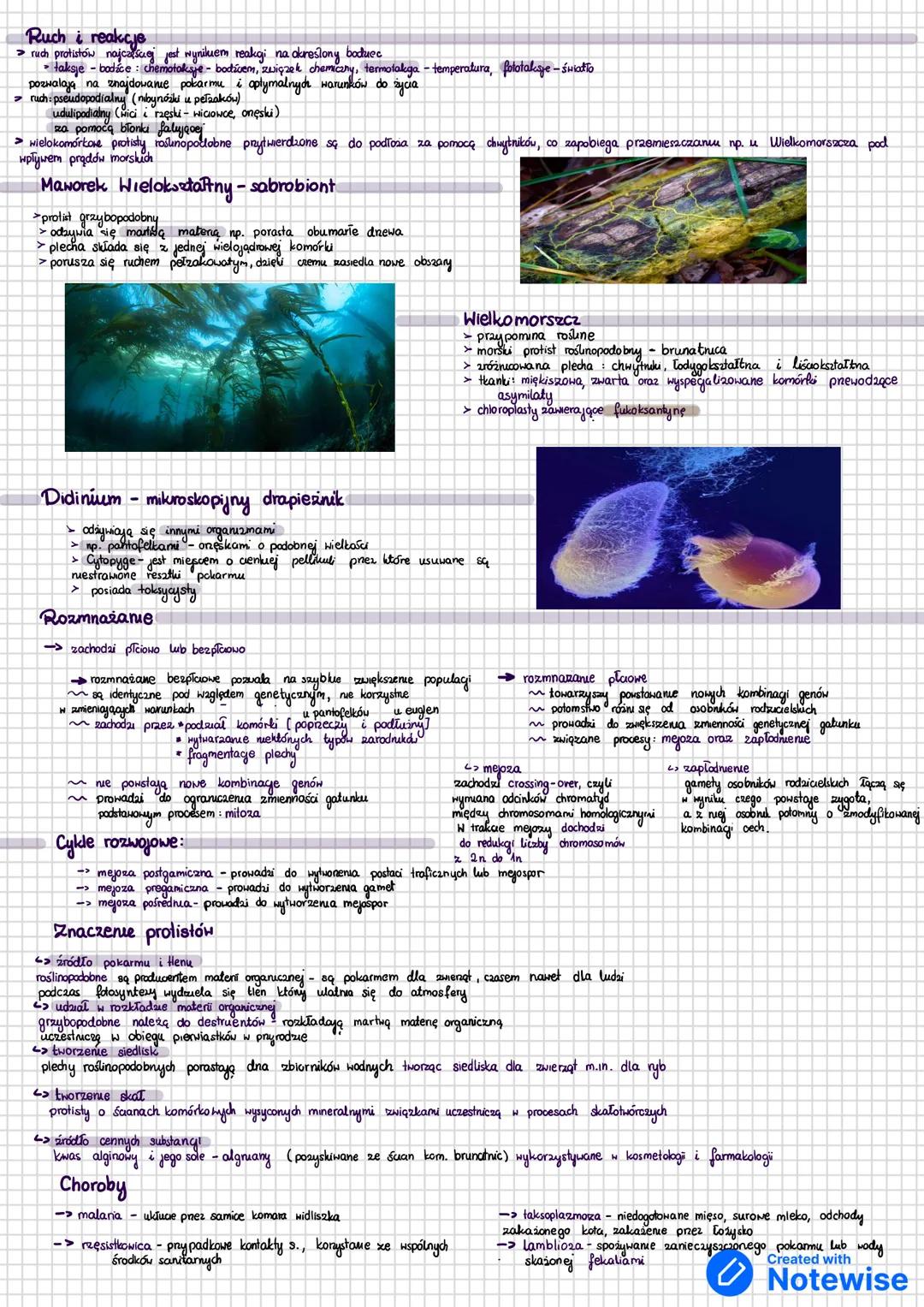 --- OCR Start ---
Protisty
takson parafiletyczny, wywodzący się od tego samego przodka co rośliny, zwierzęta i grzyby.
organizm eukariotyczn
