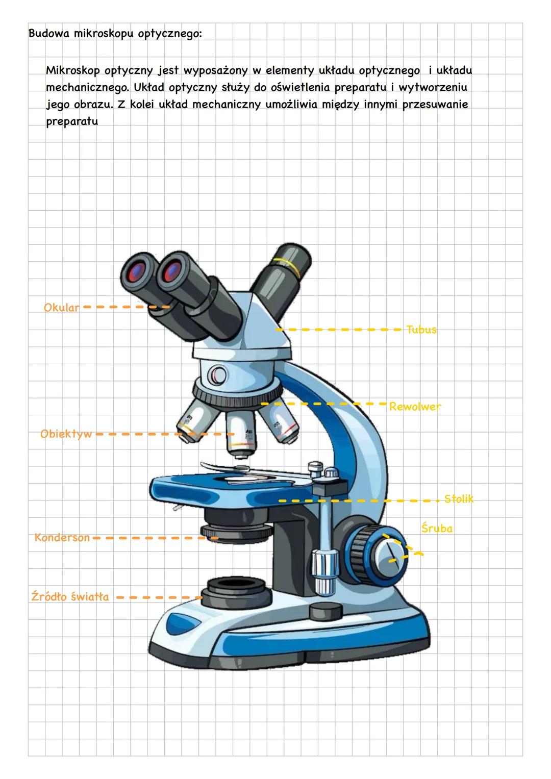Obserwacje mikroskopowe
Obserwacje biologiczne dzieli się na:
-obserwacje makroskopowe-dotyczą obiektów o wielkości powyżej 0,01
milimetra,