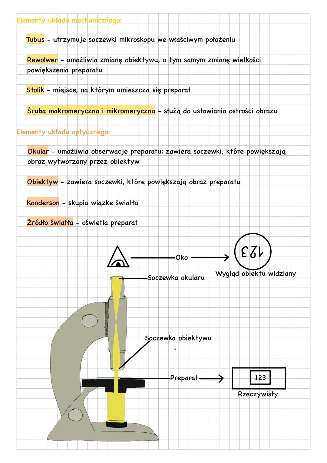 Obserwacje mikroskopowe
Obserwacje biologiczne dzieli się na:
-obserwacje makroskopowe-dotyczą obiektów o wielkości powyżej 0,01
milimetra,
