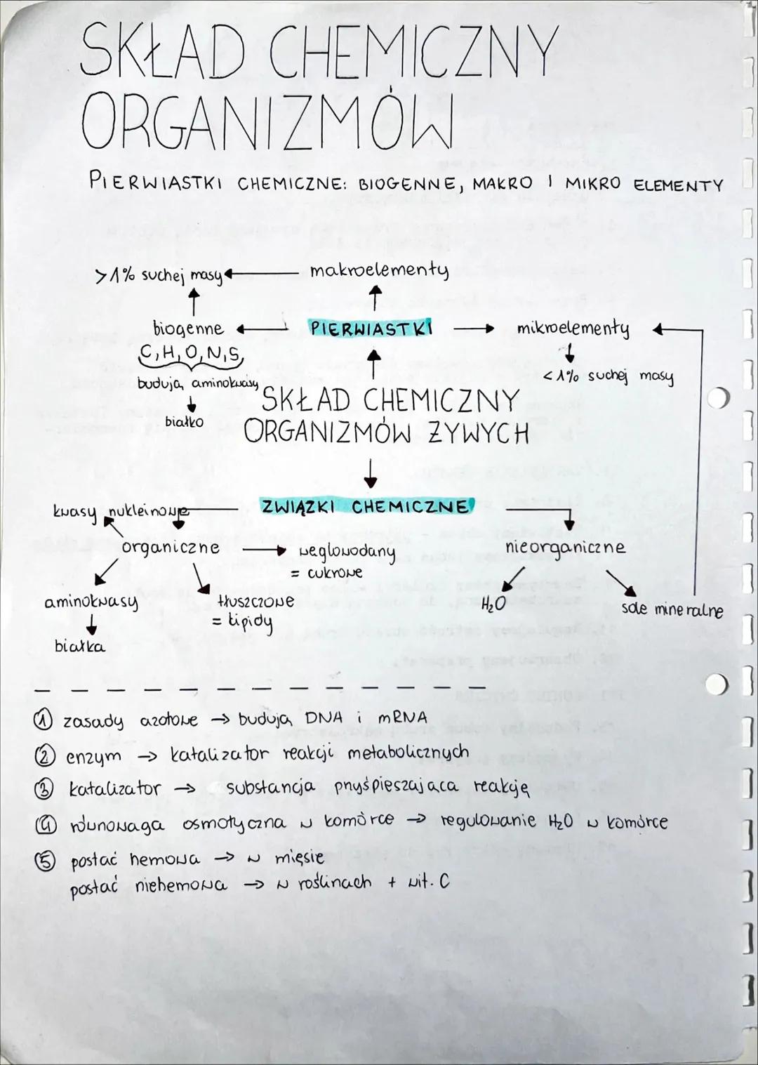 CHEMICZNE
PODSTAWY ŻYCIA SKŁAD CHEMICZNY
ORGANIZMÓW
PIERWIASTKI CHEMICZNE: BIOGENNE, MAKRO I MIKRO ELEMENTY
>1% suchej masy
↑
biogenne
C,H,O