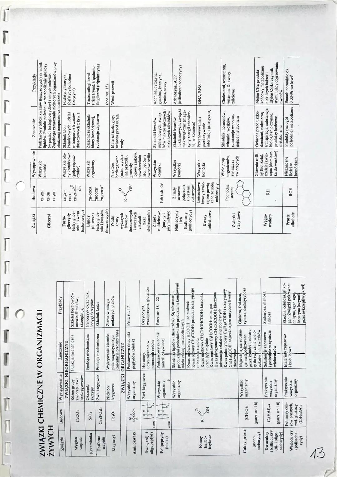 CHEMICZNE
PODSTAWY ŻYCIA SKŁAD CHEMICZNY
ORGANIZMÓW
PIERWIASTKI CHEMICZNE: BIOGENNE, MAKRO I MIKRO ELEMENTY
>1% suchej masy
↑
biogenne
C,H,O