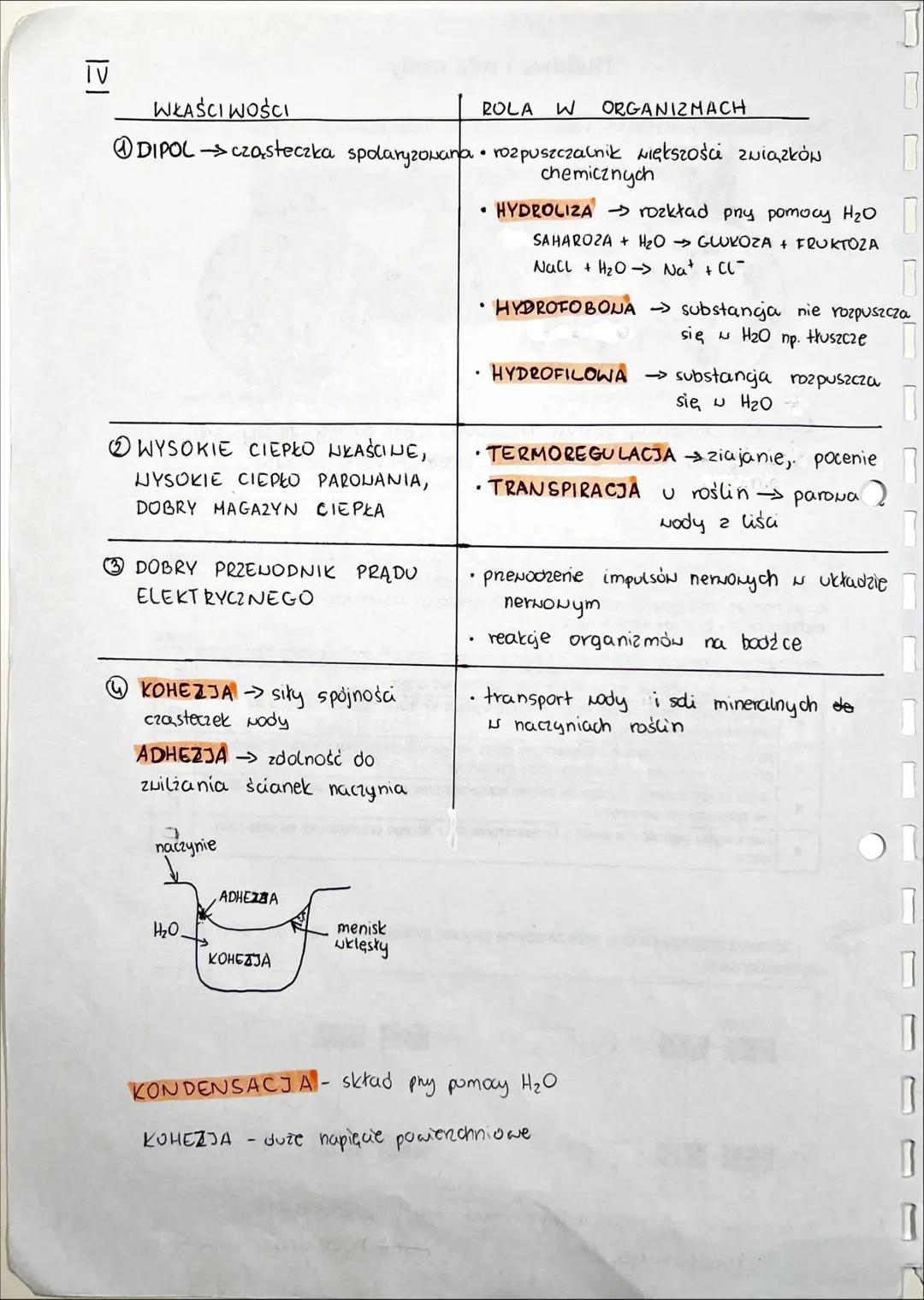 CHEMICZNE
PODSTAWY ŻYCIA SKŁAD CHEMICZNY
ORGANIZMÓW
PIERWIASTKI CHEMICZNE: BIOGENNE, MAKRO I MIKRO ELEMENTY
>1% suchej masy
↑
biogenne
C,H,O
