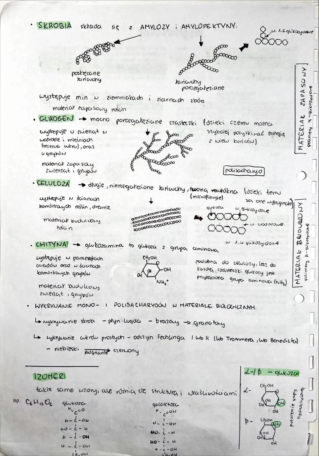 CHEMICZNE
PODSTAWY ŻYCIA SKŁAD CHEMICZNY
ORGANIZMÓW
PIERWIASTKI CHEMICZNE: BIOGENNE, MAKRO I MIKRO ELEMENTY
>1% suchej masy
↑
biogenne
C,H,O