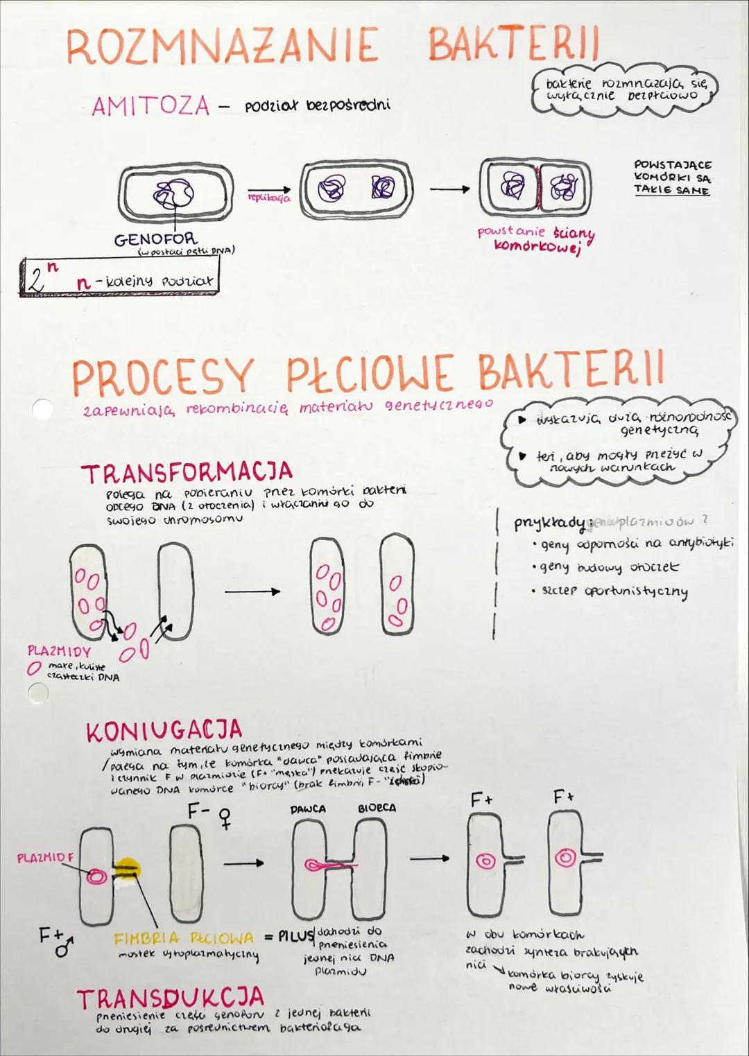 ## RÓŻNORODNOŚĆ
PROKARIONTÓW, PROTISTÓW, GRZYBÓW I POROSTÓW SYSTEMATYKA BIOLOGICZNA
↓
ponadkowanie
dziedzina biologii zajmująca się klasyfik
