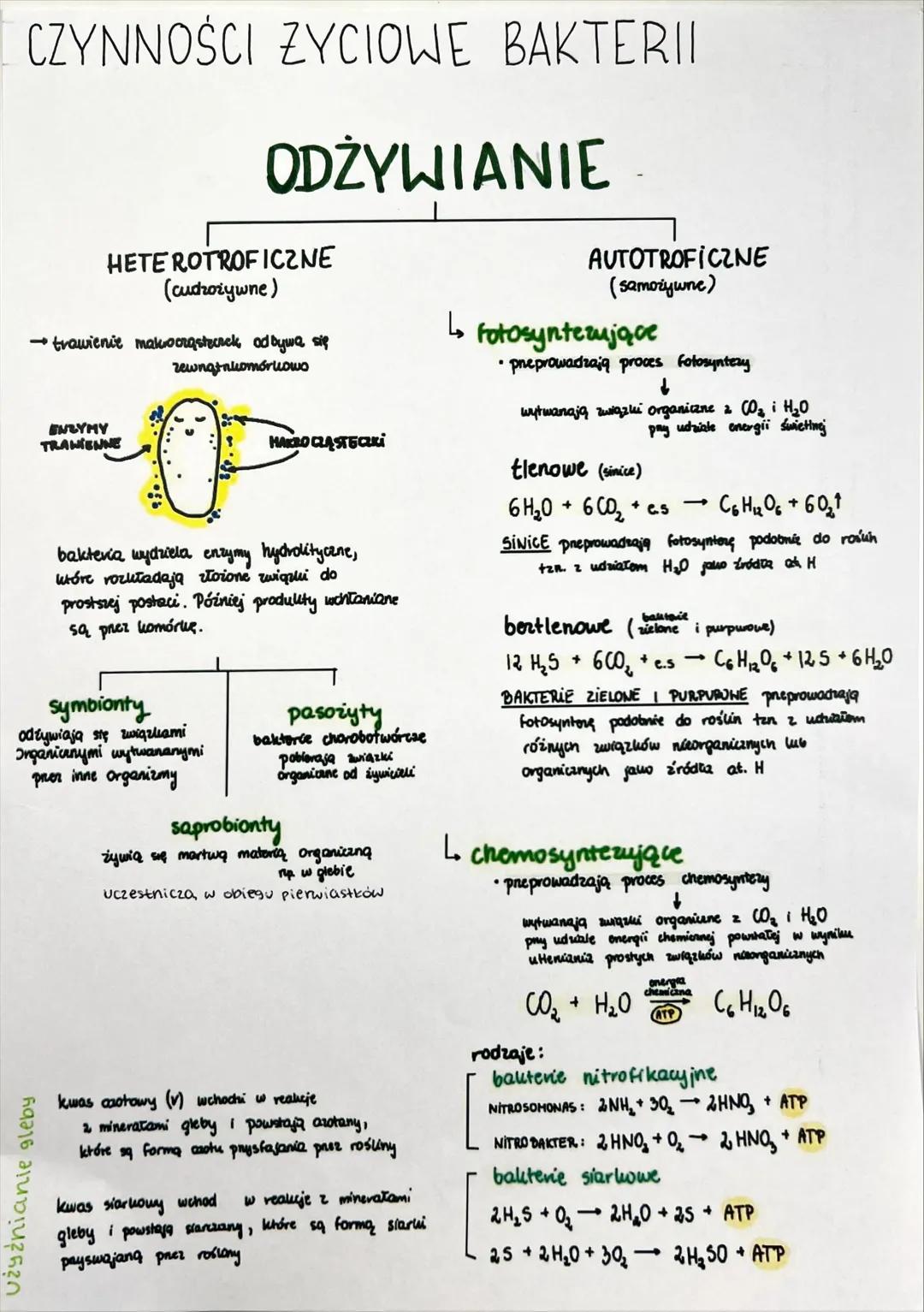 ## RÓŻNORODNOŚĆ
PROKARIONTÓW, PROTISTÓW, GRZYBÓW I POROSTÓW SYSTEMATYKA BIOLOGICZNA
↓
ponadkowanie
dziedzina biologii zajmująca się klasyfik