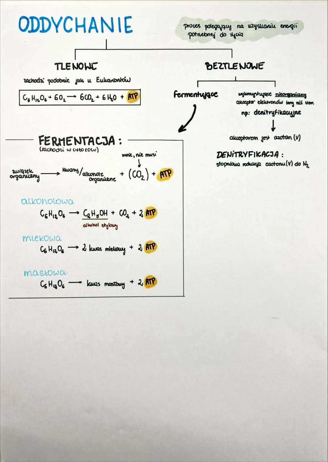 ## RÓŻNORODNOŚĆ
PROKARIONTÓW, PROTISTÓW, GRZYBÓW I POROSTÓW SYSTEMATYKA BIOLOGICZNA
↓
ponadkowanie
dziedzina biologii zajmująca się klasyfik
