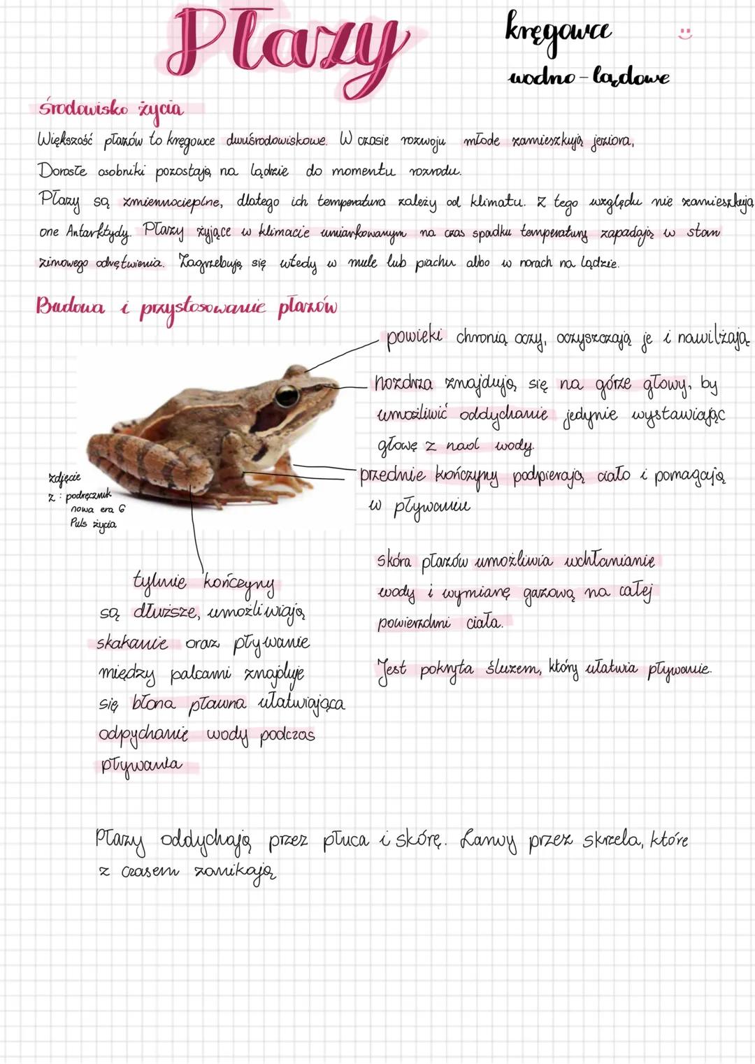 --- OCR Start ---
Plaxy
Środowisko życia
kręgowce
wodno-ladowe
Większość płazów to kręgowce dwuśrodowiskowe. W czasie rozwoju młode xamieszk