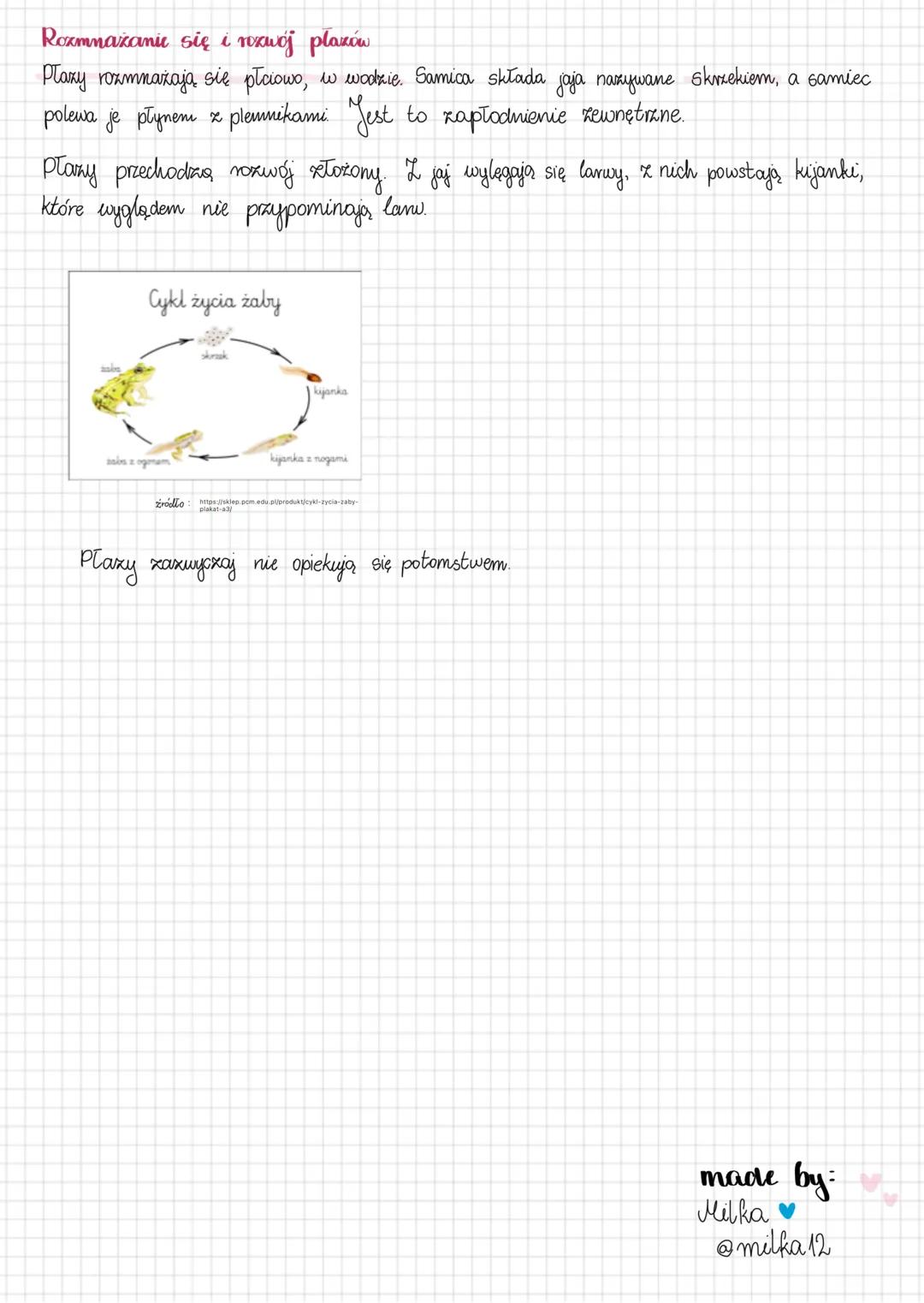 --- OCR Start ---
Plaxy
Środowisko życia
kręgowce
wodno-ladowe
Większość płazów to kręgowce dwuśrodowiskowe. W czasie rozwoju młode xamieszk