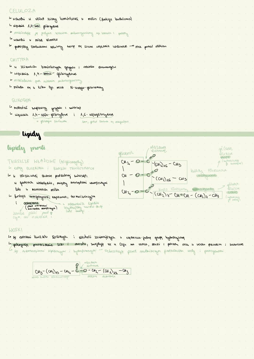 --- OCR Start ---
węglowodany
monosa
węglowodany i lipidy
osacharydy (jednocuky, cukry prone)
od 3 do 8 atomdu
wpgia
ma kilka grup hydroksyl