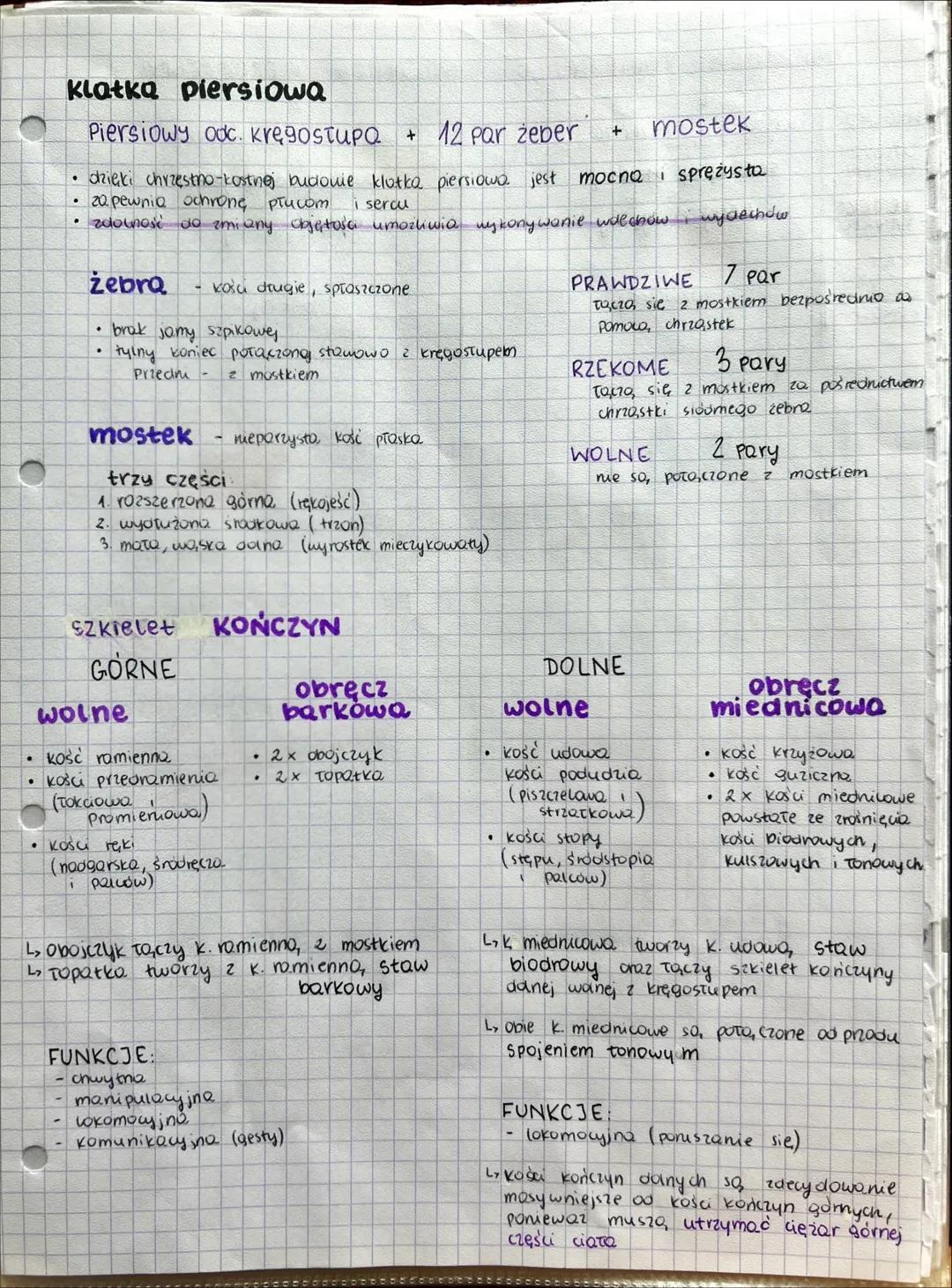 UKŁAD RUCHU # BUDOWA I FUNKCJE SZKIELETU
## KOŚCI TWORZĄ SZKIELET
OSIOWY KOŃCZYN
- miejsce przyczepu mięśni szkieletowych
- rusztowan