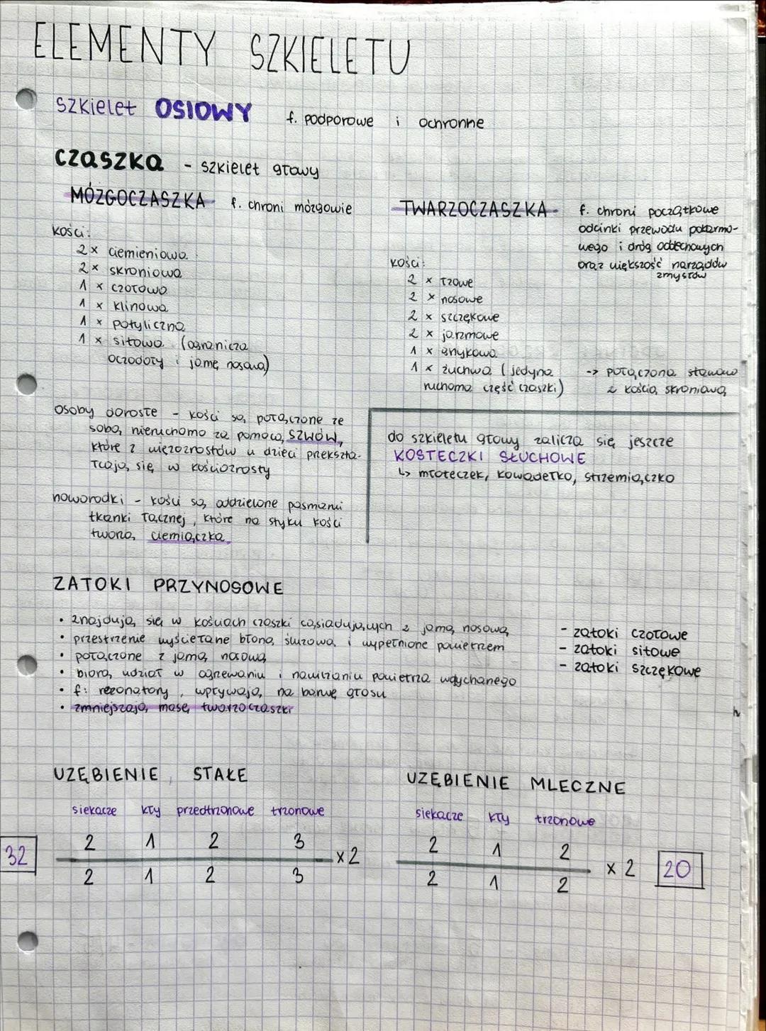 UKŁAD RUCHU # BUDOWA I FUNKCJE SZKIELETU
## KOŚCI TWORZĄ SZKIELET
OSIOWY KOŃCZYN
- miejsce przyczepu mięśni szkieletowych
- rusztowan