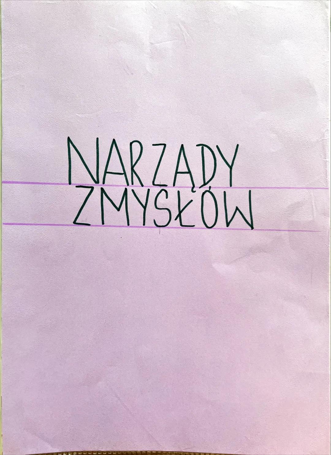 NARZ
ADY
ZMYŚKÓW --- OCR Start ---
NARZĄDY ZMYSŁÓW
złożoność budowy
JEDNOKOMORKOWE
zmysły skórne
SKUPISKA KOMOREK
CZUCIOWYCH
zmysły chemiczn
