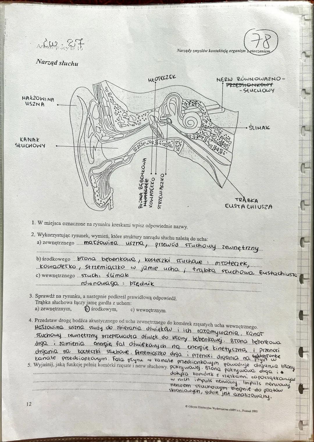 NARZ
ADY
ZMYŚKÓW --- OCR Start ---
NARZĄDY ZMYSŁÓW
złożoność budowy
JEDNOKOMORKOWE
zmysły skórne
SKUPISKA KOMOREK
CZUCIOWYCH
zmysły chemiczn