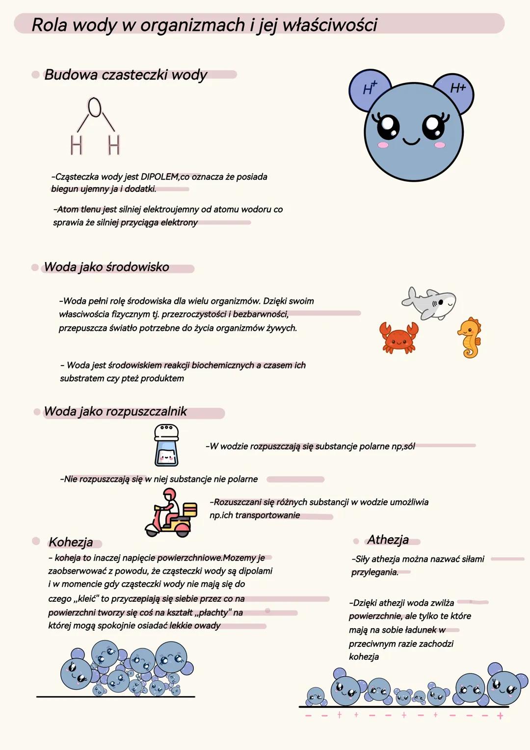 Rola wody w organizmach i jej właściwości
Budowa czasteczki wody
HH
-Cząsteczka wody jest DIPOLEM, co oznacza że posiada
biegun ujemny ja i