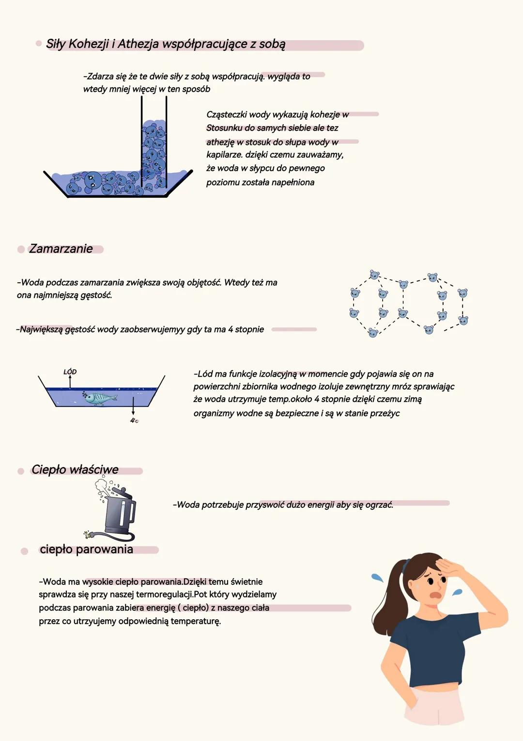 Rola wody w organizmach i jej właściwości
Budowa czasteczki wody
HH
-Cząsteczka wody jest DIPOLEM, co oznacza że posiada
biegun ujemny ja i