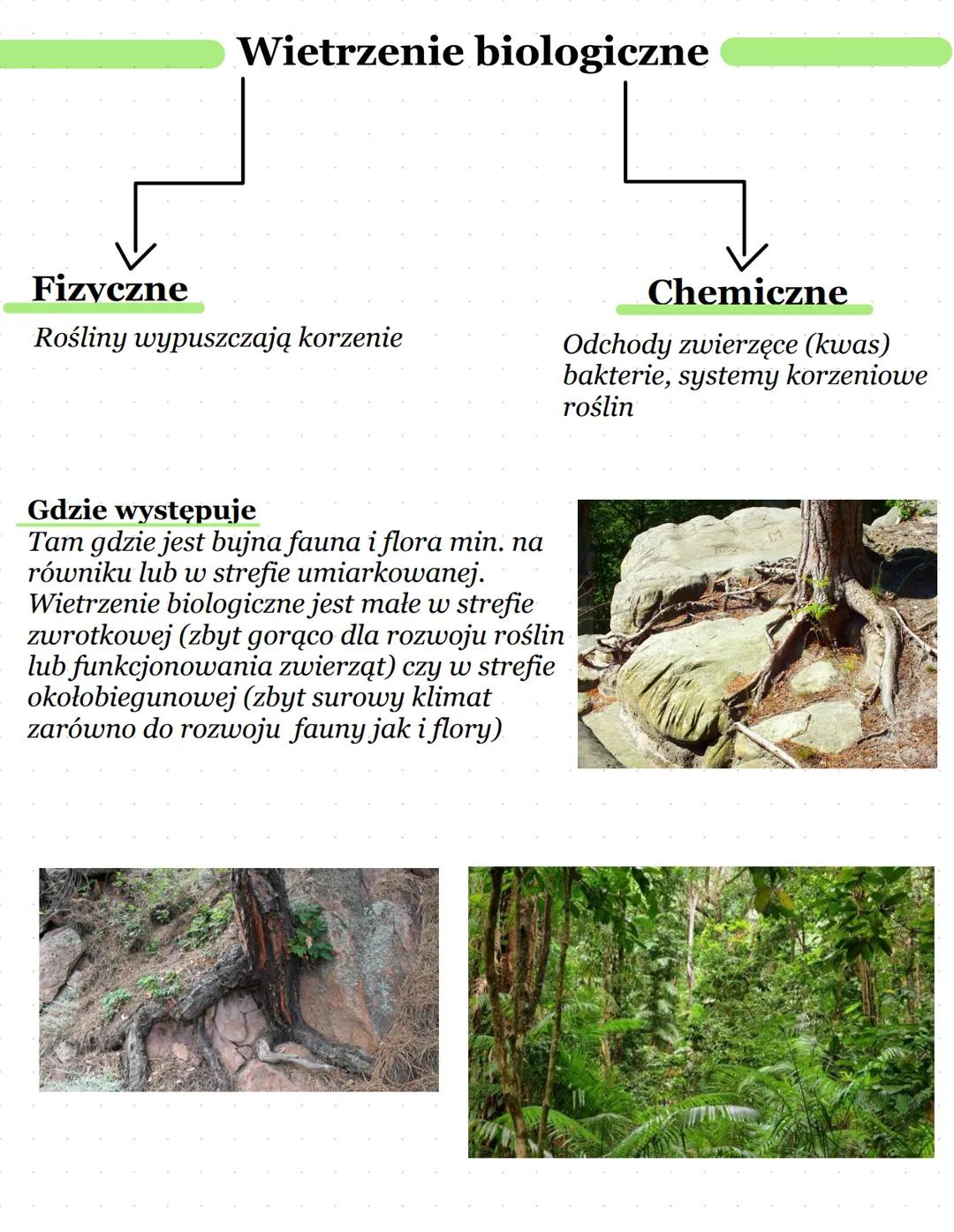 Wietrzenie
Definicja: Rozkład skały na mniejsze elementy
Wietrzenie
↓
Fizyczne
(lub mechaniczne)
Chemiczne
Biologiczne
● Termiczne
● Fizyczn