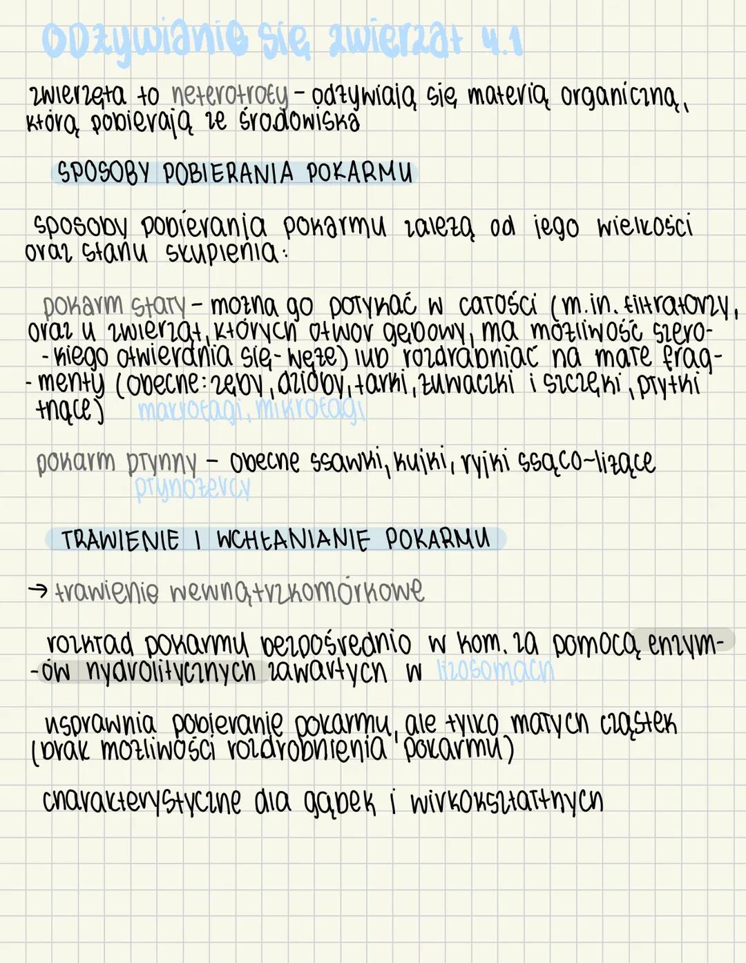 Odżywianie się zwierząt. Biologia rozszerzona klasa 3