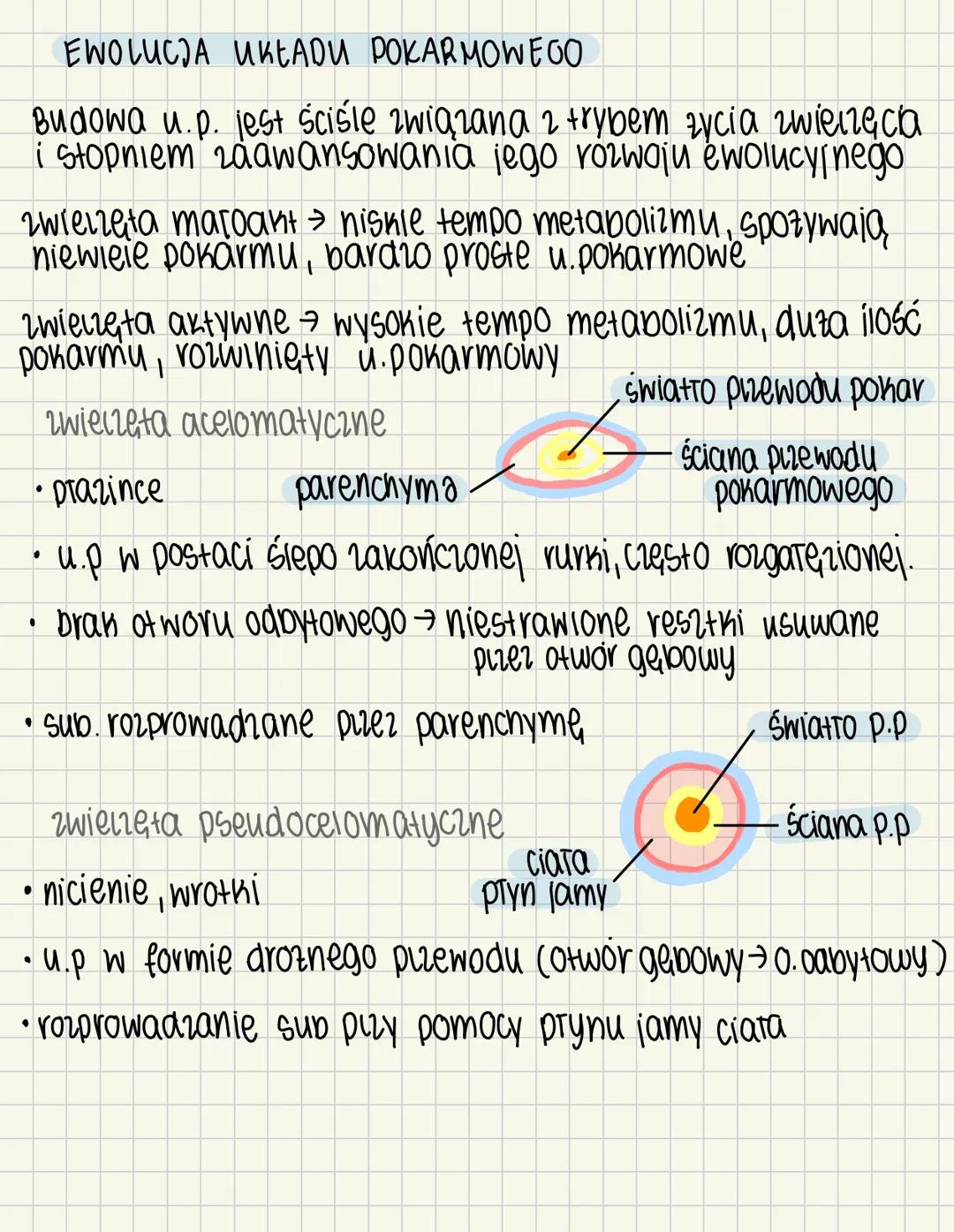 # Oddychanie się zwierząt 4.1
zwierzęta to heterotrofy – odżywiają się materią organiczną, którą pobierają ze środowiska
# SPOSOBY POBIERA