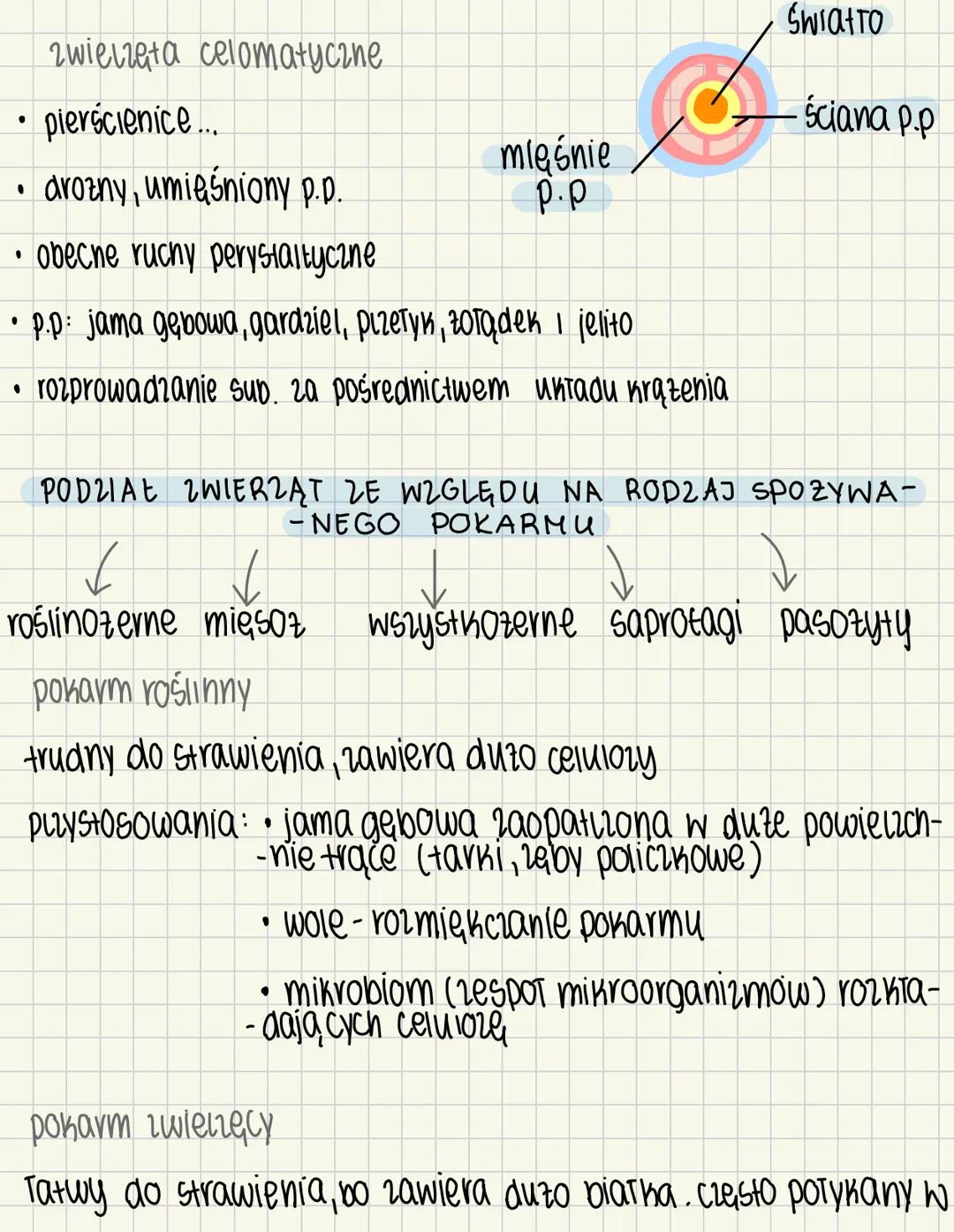 # Oddychanie się zwierząt 4.1
zwierzęta to heterotrofy – odżywiają się materią organiczną, którą pobierają ze środowiska
# SPOSOBY POBIERA
