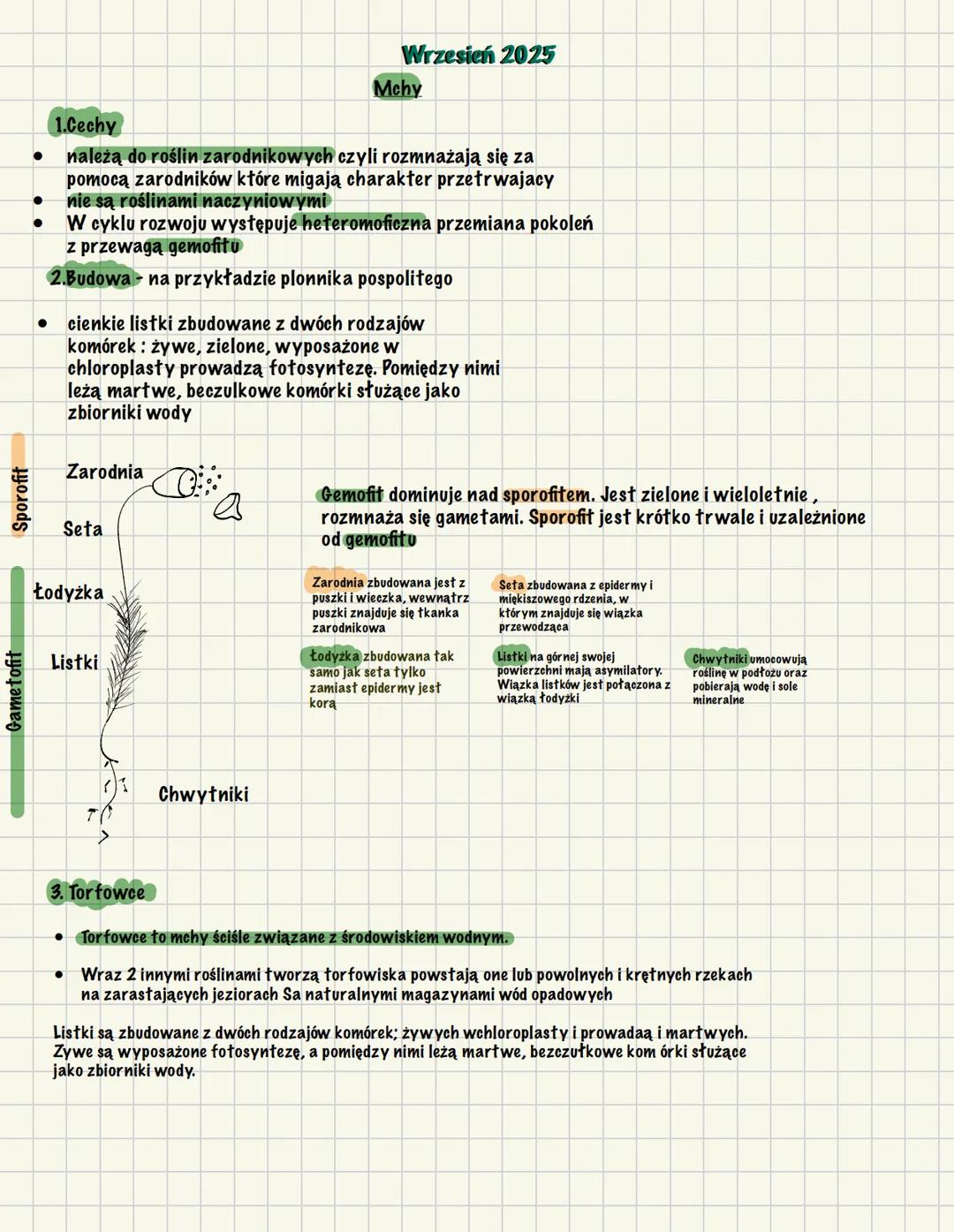Sporofit
1.Cechy
Wrzesień 2025
Mchy
należą do roślin zarodnikowych czyli rozmnażają się za
pomocą zarodników które migają charakter przetrwa