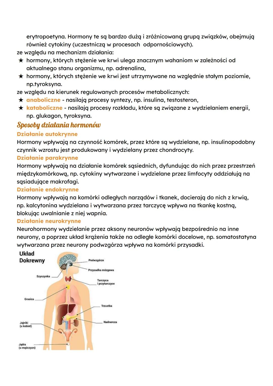 Budowa i rola układu hormonalnego
Układ hormonalny (dokrewny) tworzą gruczoły wewnątrzwydzielnicze (dokrewne) oraz
wyspecjalizowane komórki