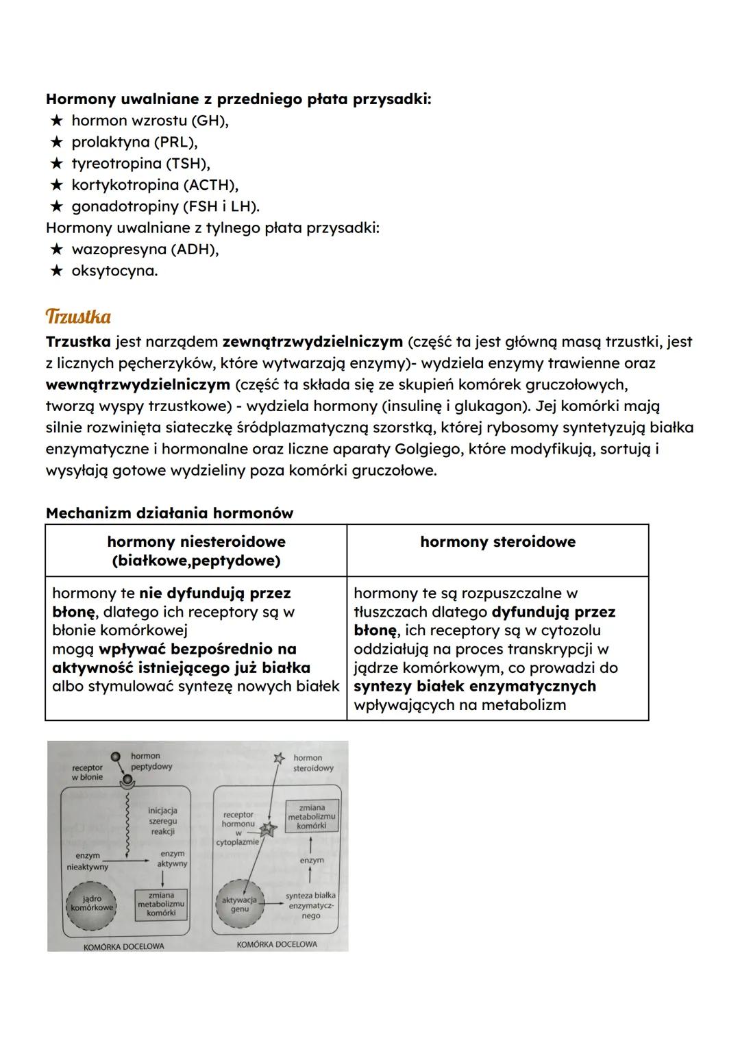 Budowa i rola układu hormonalnego
Układ hormonalny (dokrewny) tworzą gruczoły wewnątrzwydzielnicze (dokrewne) oraz
wyspecjalizowane komórki