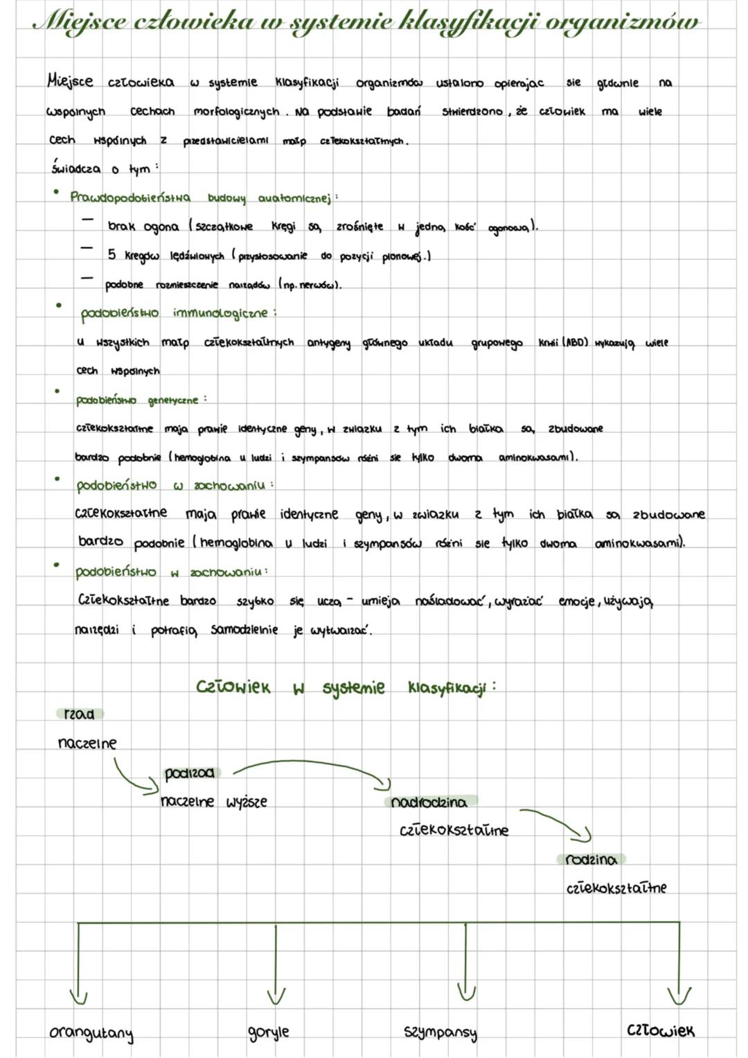 Miejsce człowieka w systemie klasyfikacji organizmów
Miejsce człowieka w systemie klasyfikacji organizmów ustalono opierając sie glownie na