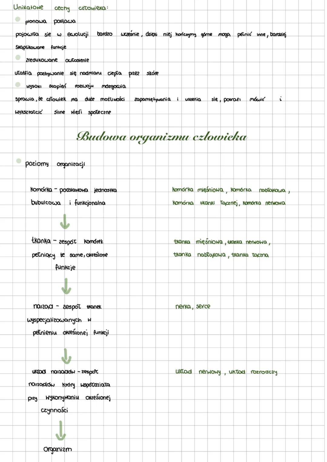 Miejsce człowieka w systemie klasyfikacji organizmów
Miejsce człowieka w systemie klasyfikacji organizmów ustalono opierając sie glownie na