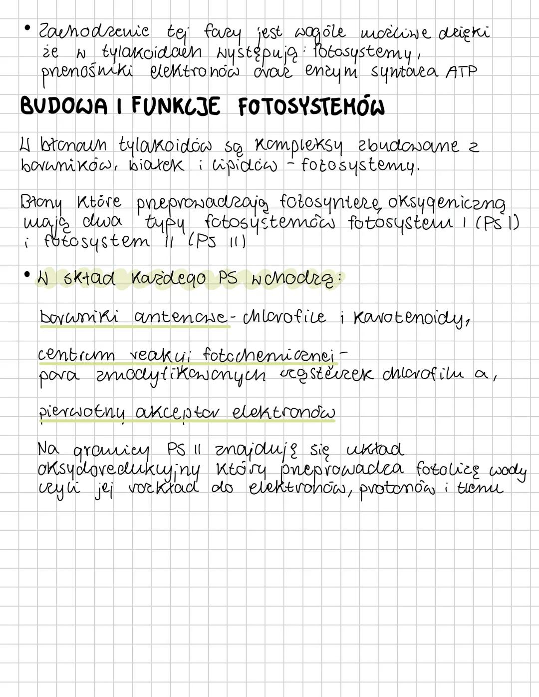 FOTOSYNTEZA
Autotroficzne odżywianie się organizmów
Każdy organizm do życia i do budowy ciała
potrebuje energii. Podstawowym źródłem energii