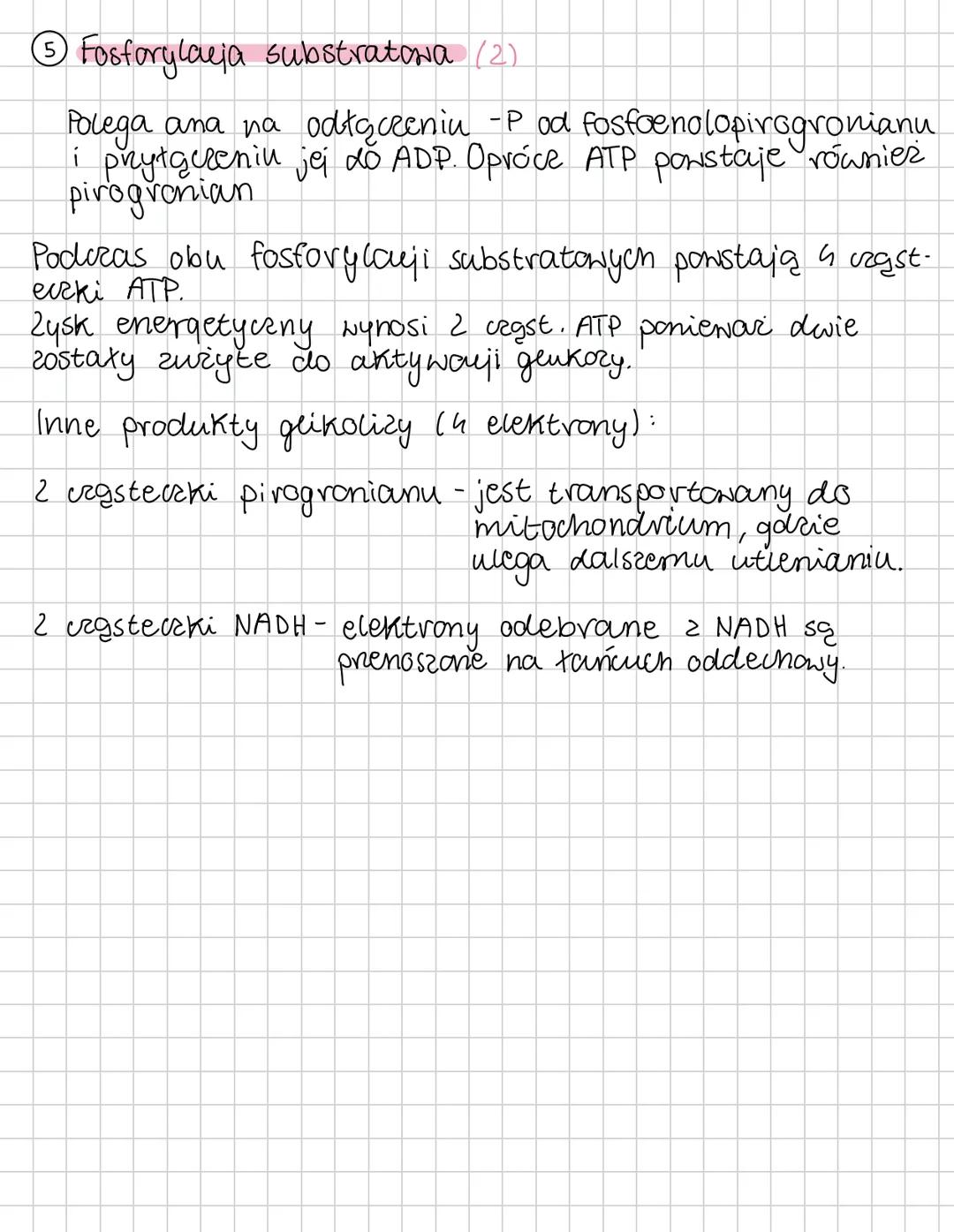 ODDYCHANIE KOMÓRKONE
Oddychanie tlenowe
Oddychanie komórkowe jest procesem Katabolicznym.
pomeważ w jego trakue złożone zw. org. są
rozkłada